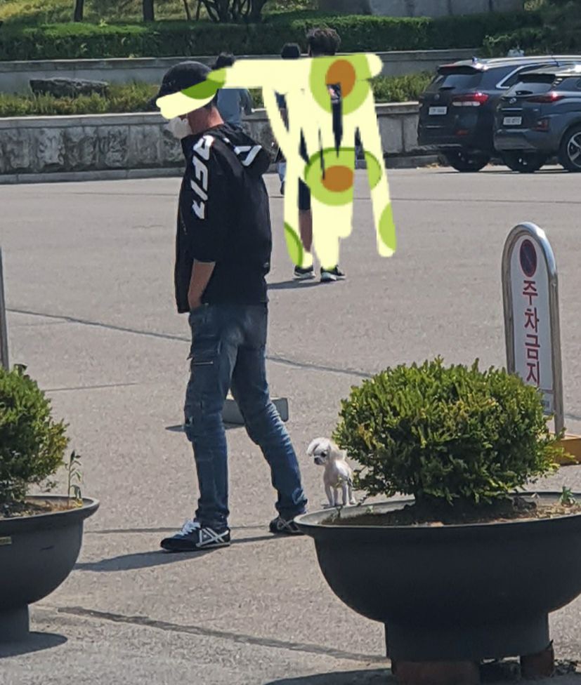대학교 내 애니멀호더(개공장보유) 새끼동물들을 제발 구해주세요