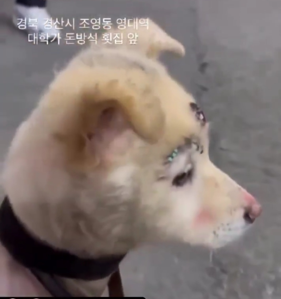 작고 어린아이.. 살려주세요..