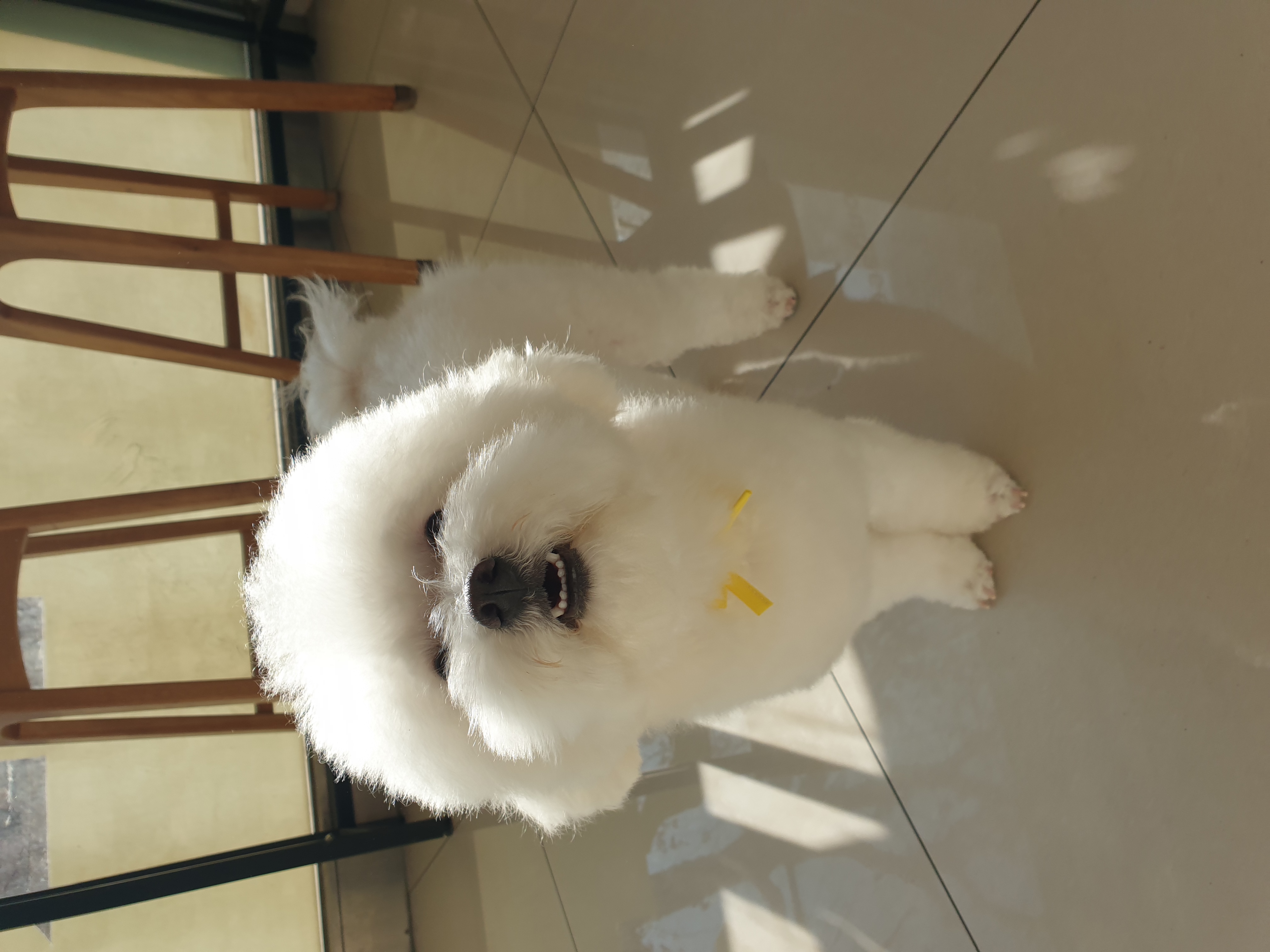 곤지암 겨울이 (하이) 2주년, 잘 지내고 있어요 