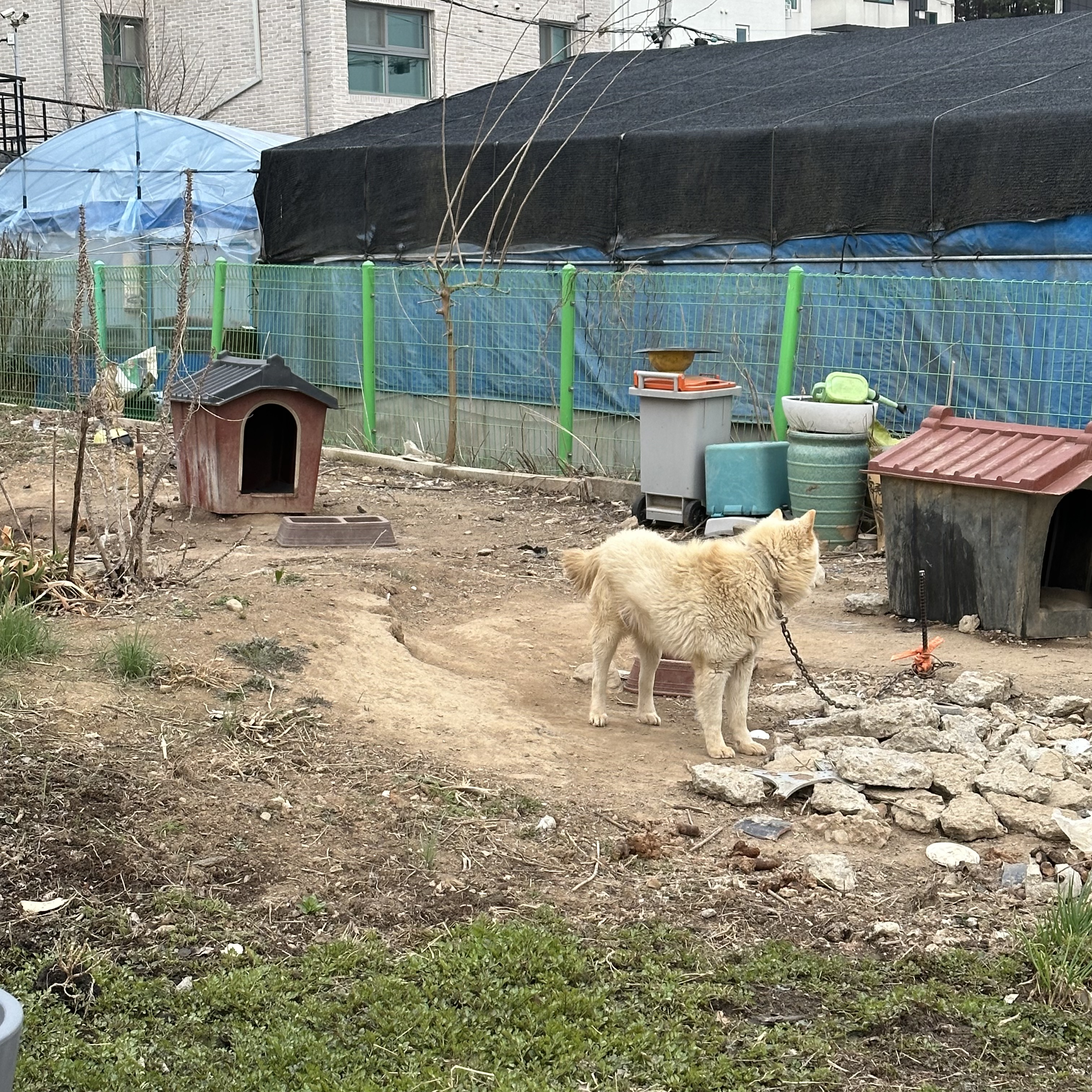 제발 아이들을 구해주세요