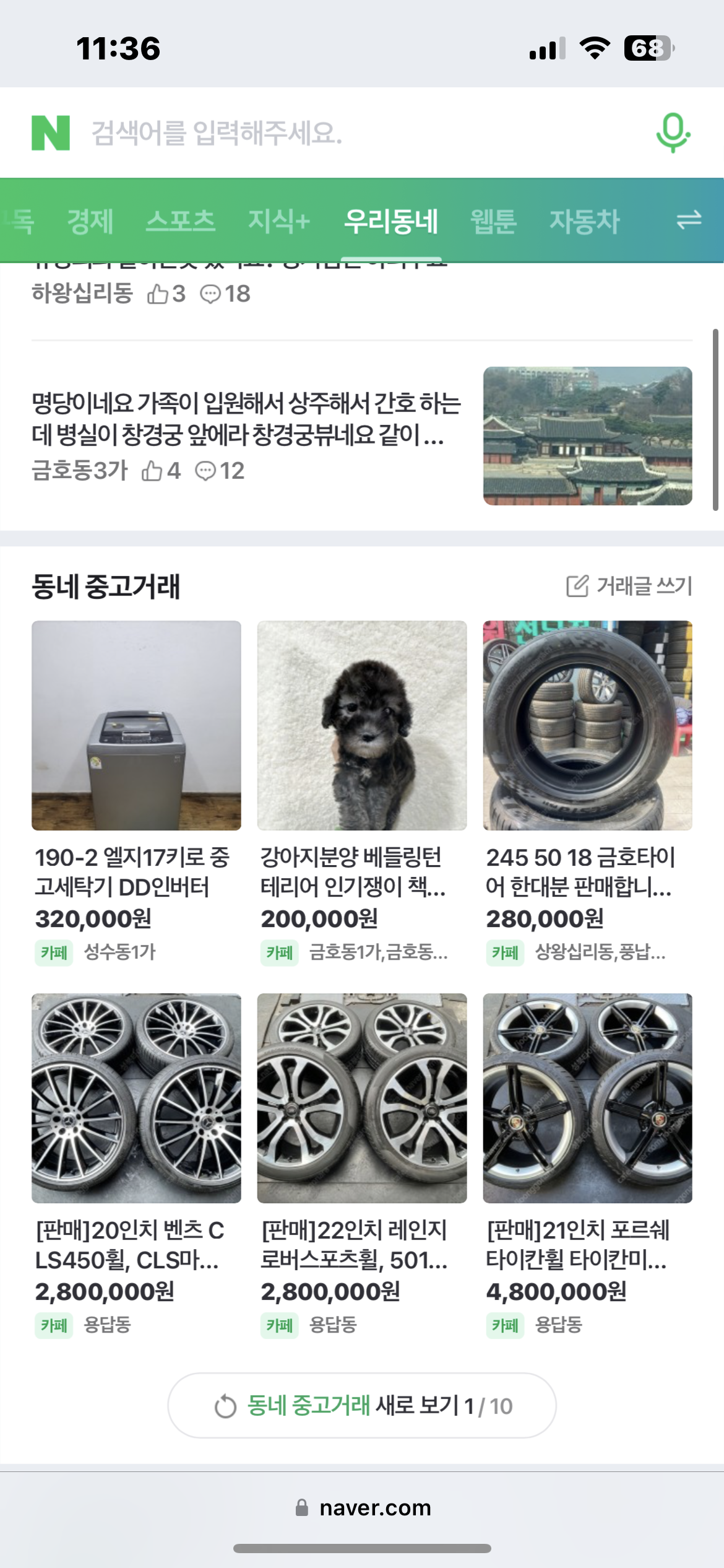 강아지를 중고 판매 광고하고 있습니다. 