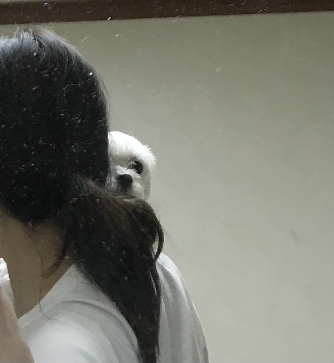 홍이 삼년차~!