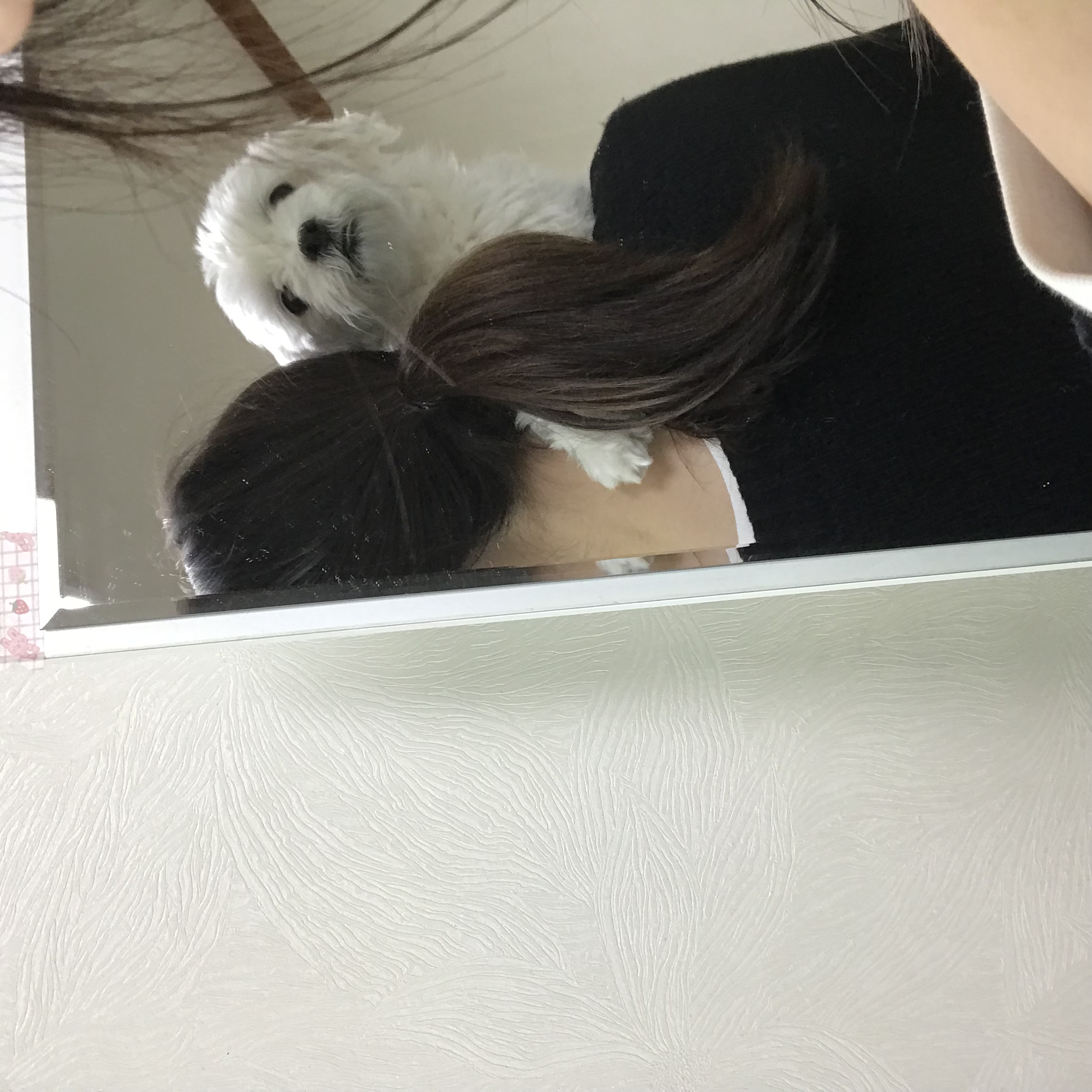 홍이 삼년차~!