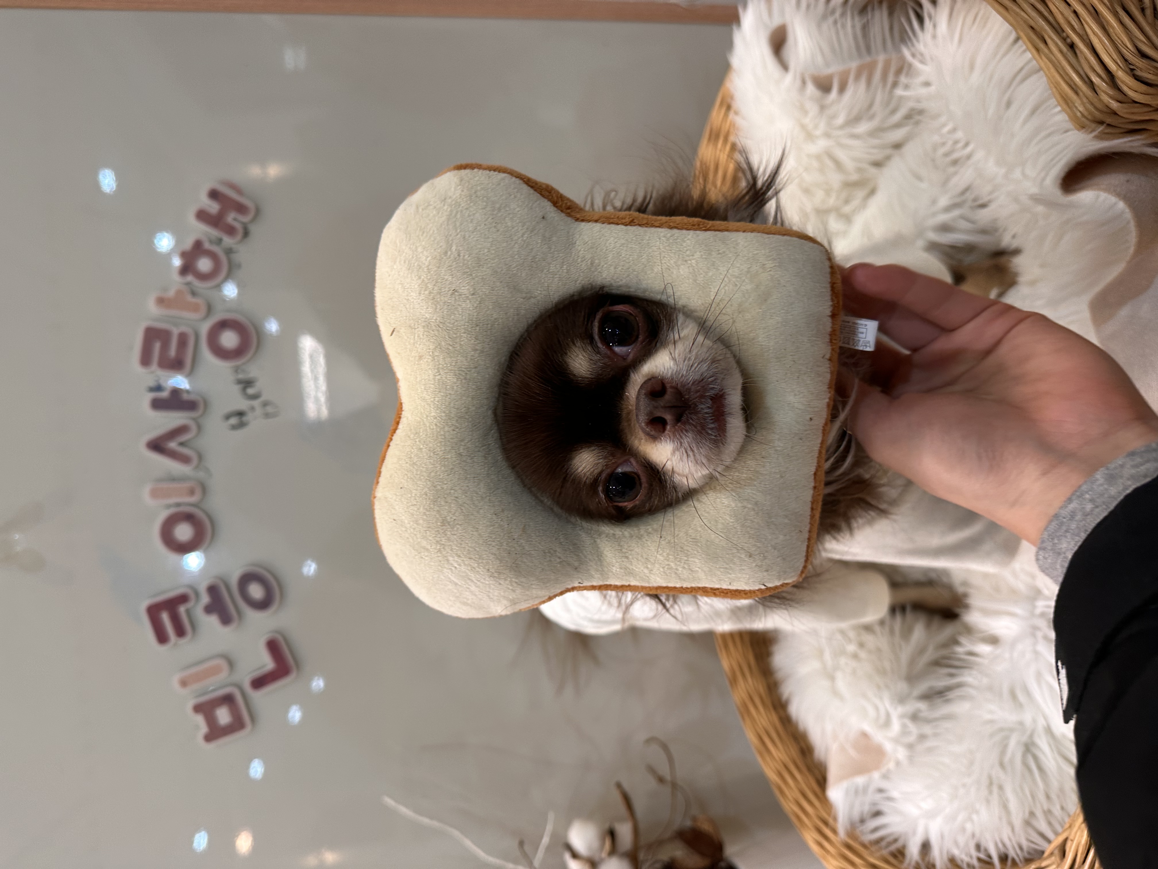빈이
