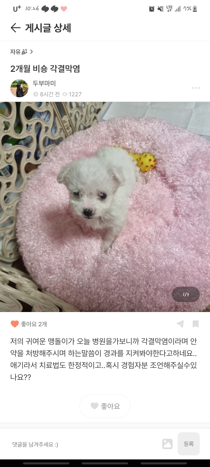 학대의심 제보입니다