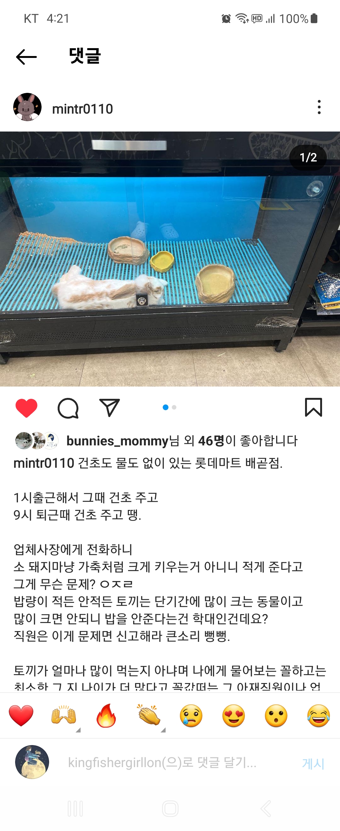 롯데마트 시흥 배곧점 토끼 판매대 환경이 열악합니다.