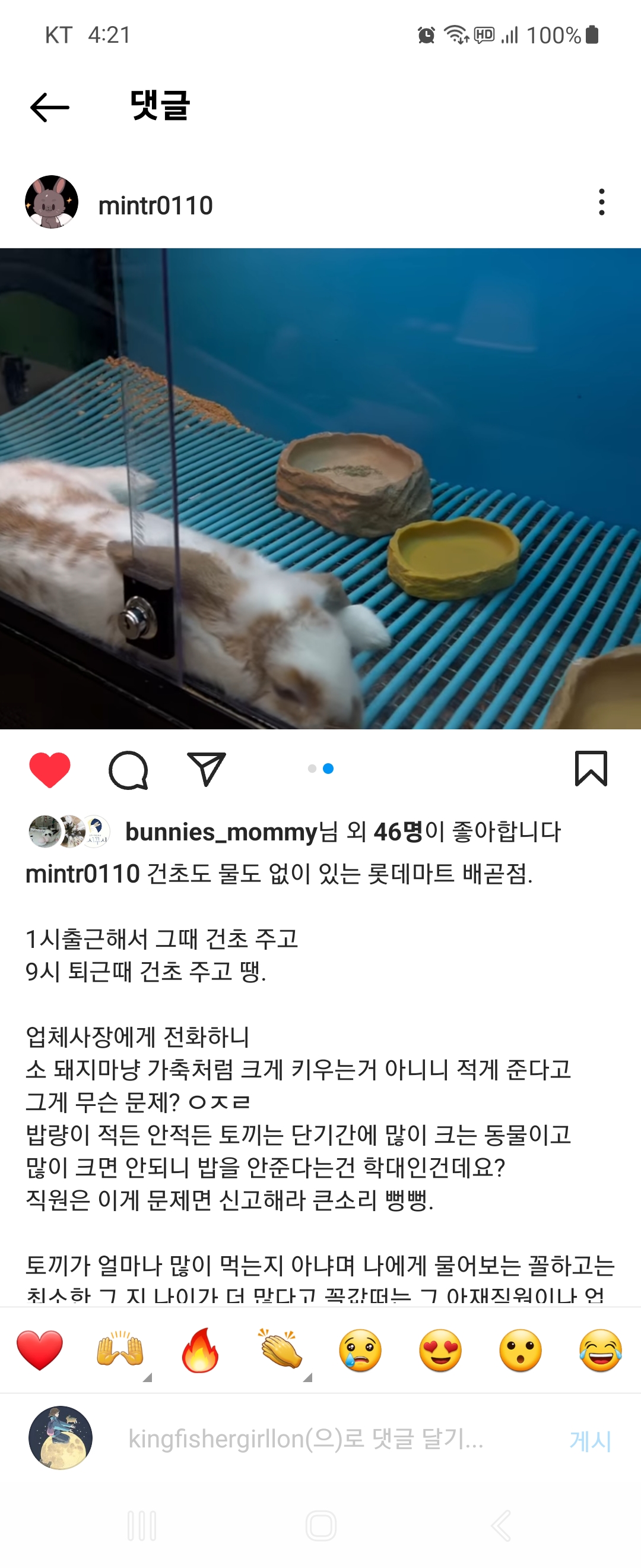 롯데마트 시흥 배곧점 토끼 판매대 환경이 열악합니다.