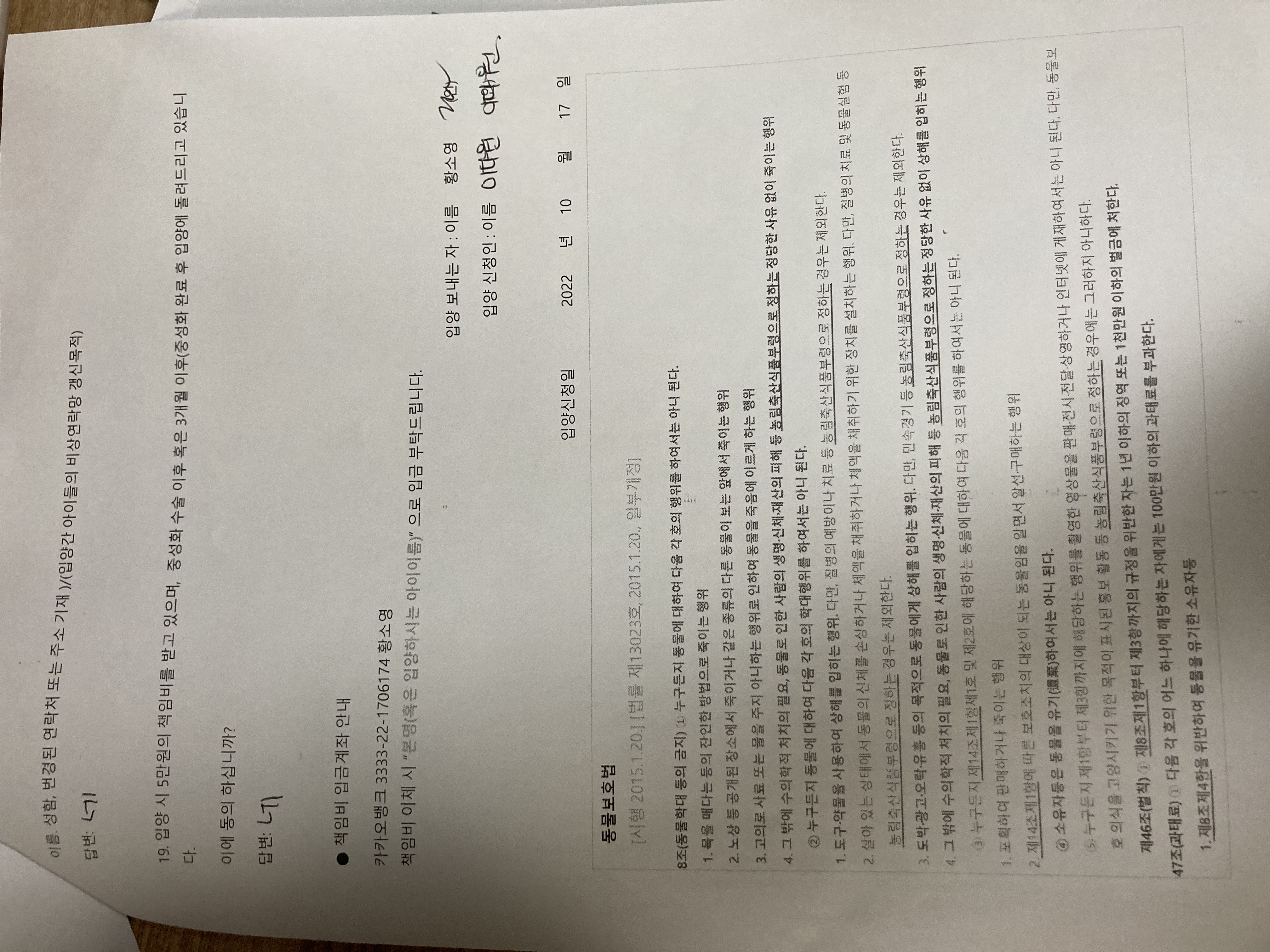 입양자가 고양이를 한 겨울에 유기(학대가능성) 했습니다. 