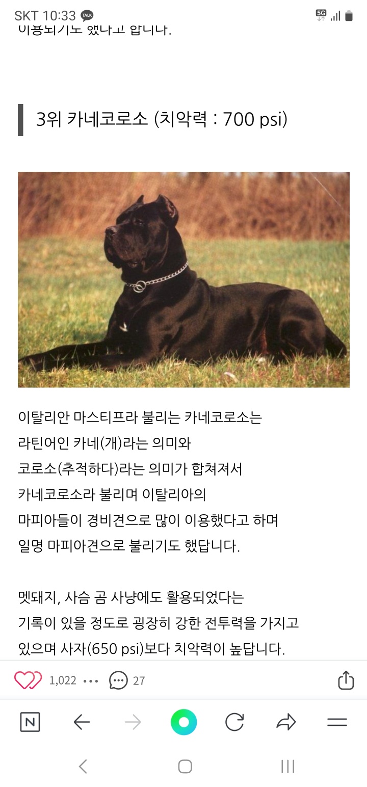 카네코르소외 1마리가 견주 방치에 오피스텔에 갇쳐 살아요