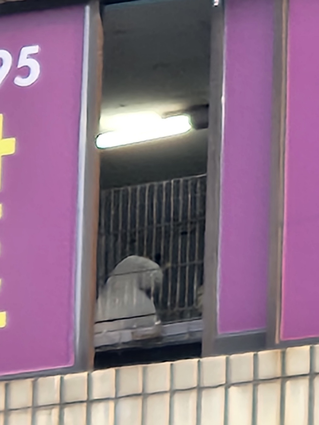 부산 미용학원 위생 상태 및 학대의심