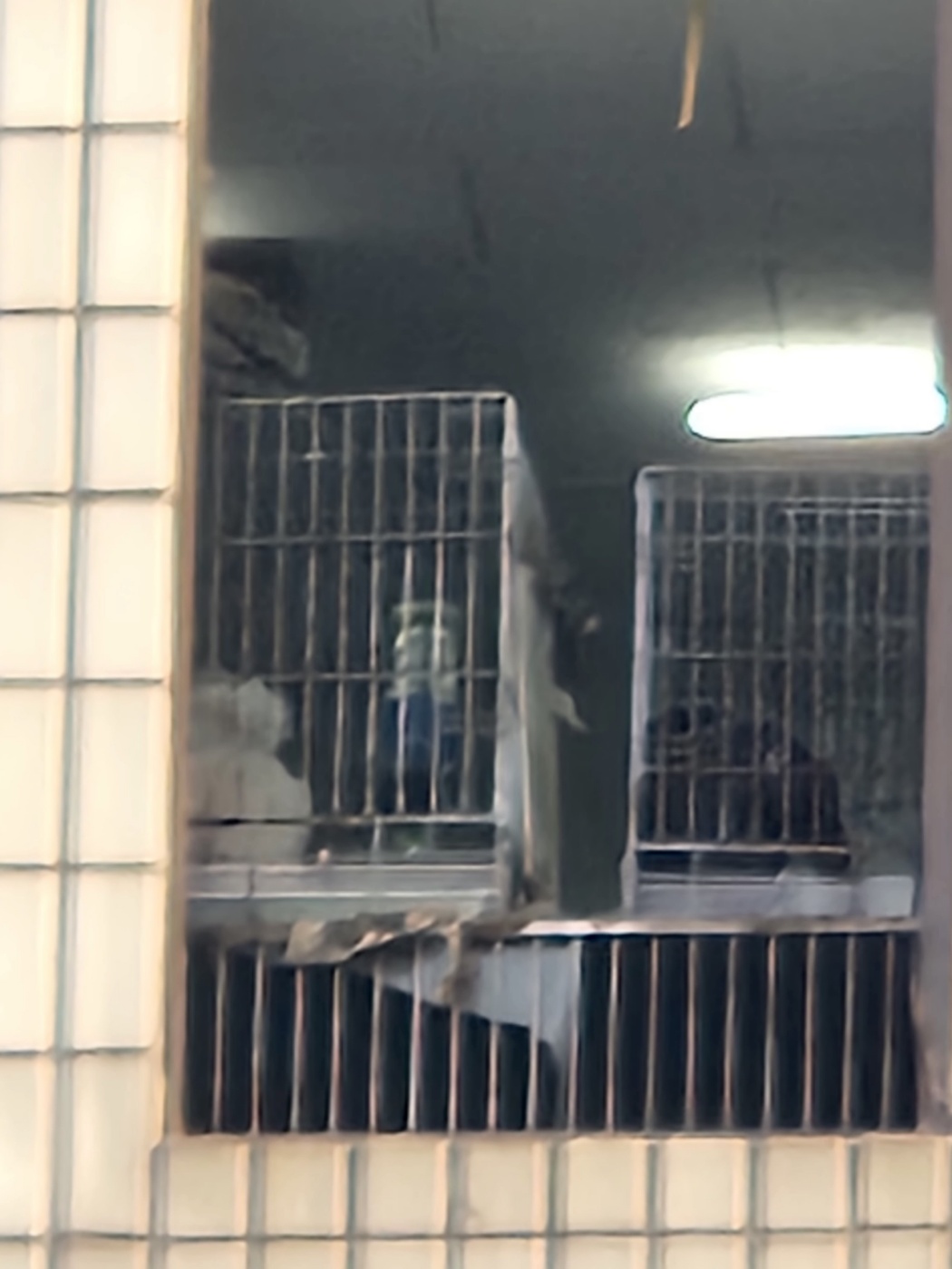 부산 미용학원 위생 상태 및 학대의심