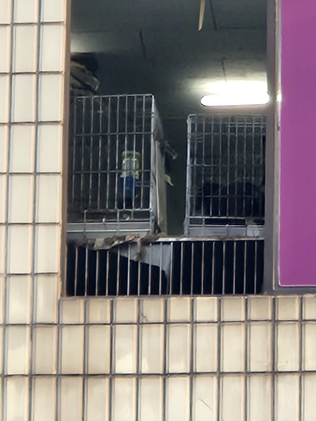 부산 미용학원 위생 상태 및 학대의심