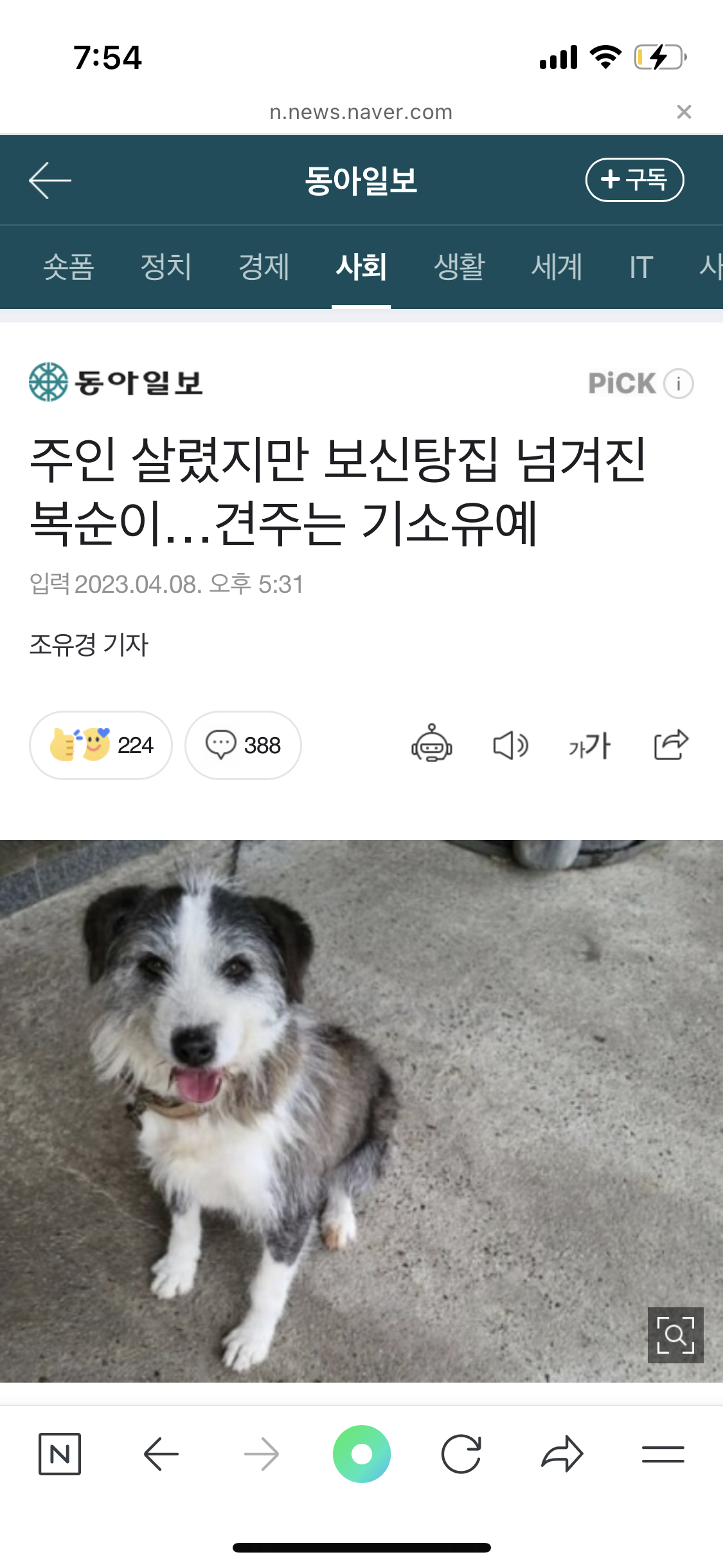 주인 구한 복순이 보신탕집에서 생마감