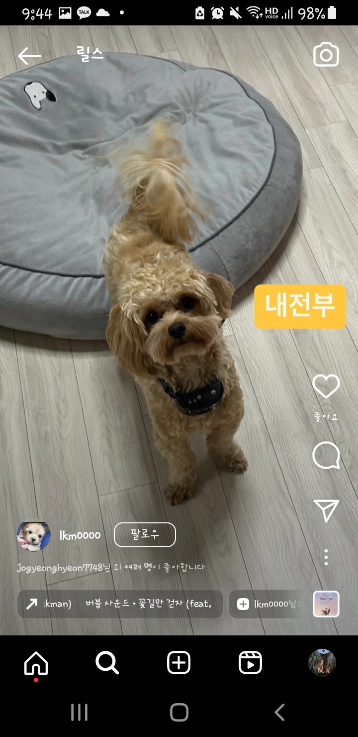인스타 추천떴는데 또 이러네요