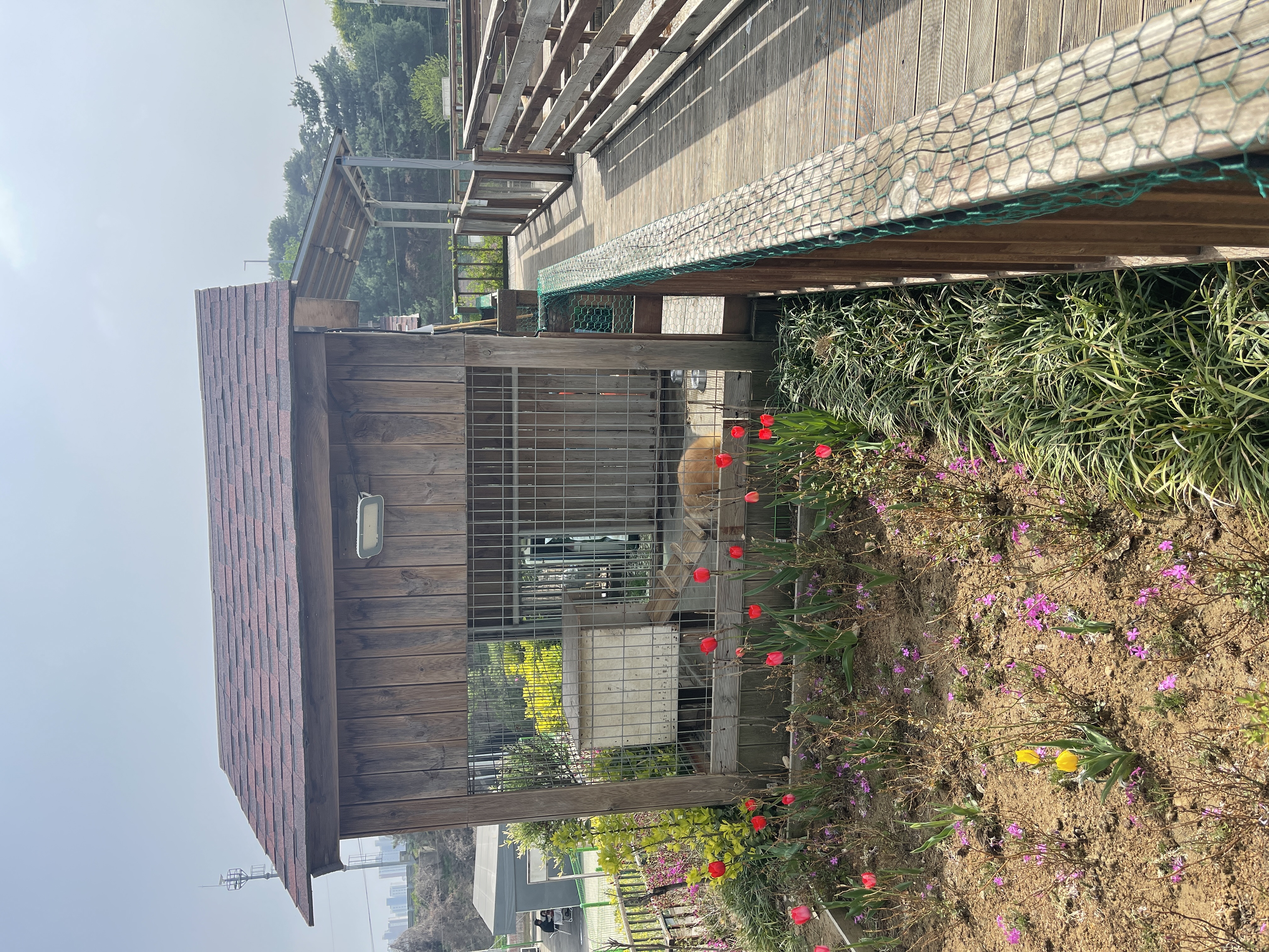 동물원 사업장 동물방치