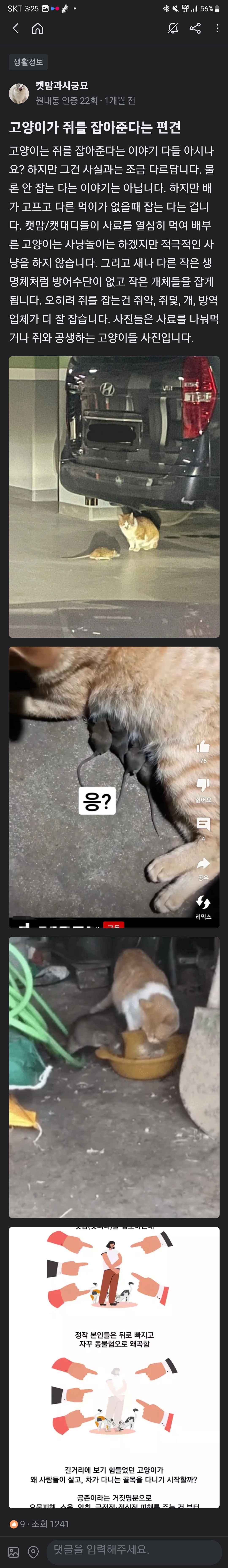 당근마켓에 지속적으로 길냥이를 없애려는 글을 올립니다.