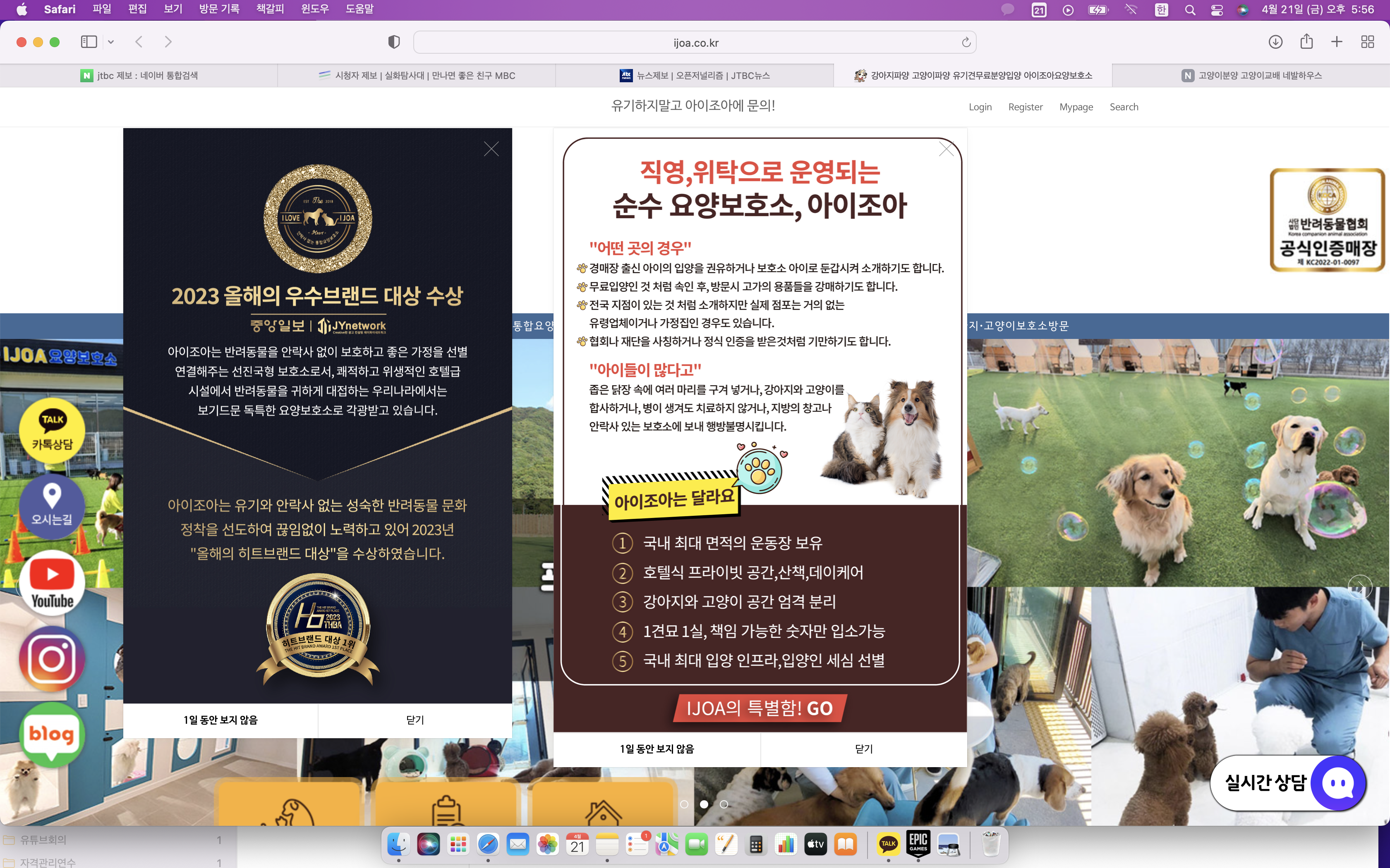 가짜 보호소를 제보합니다.