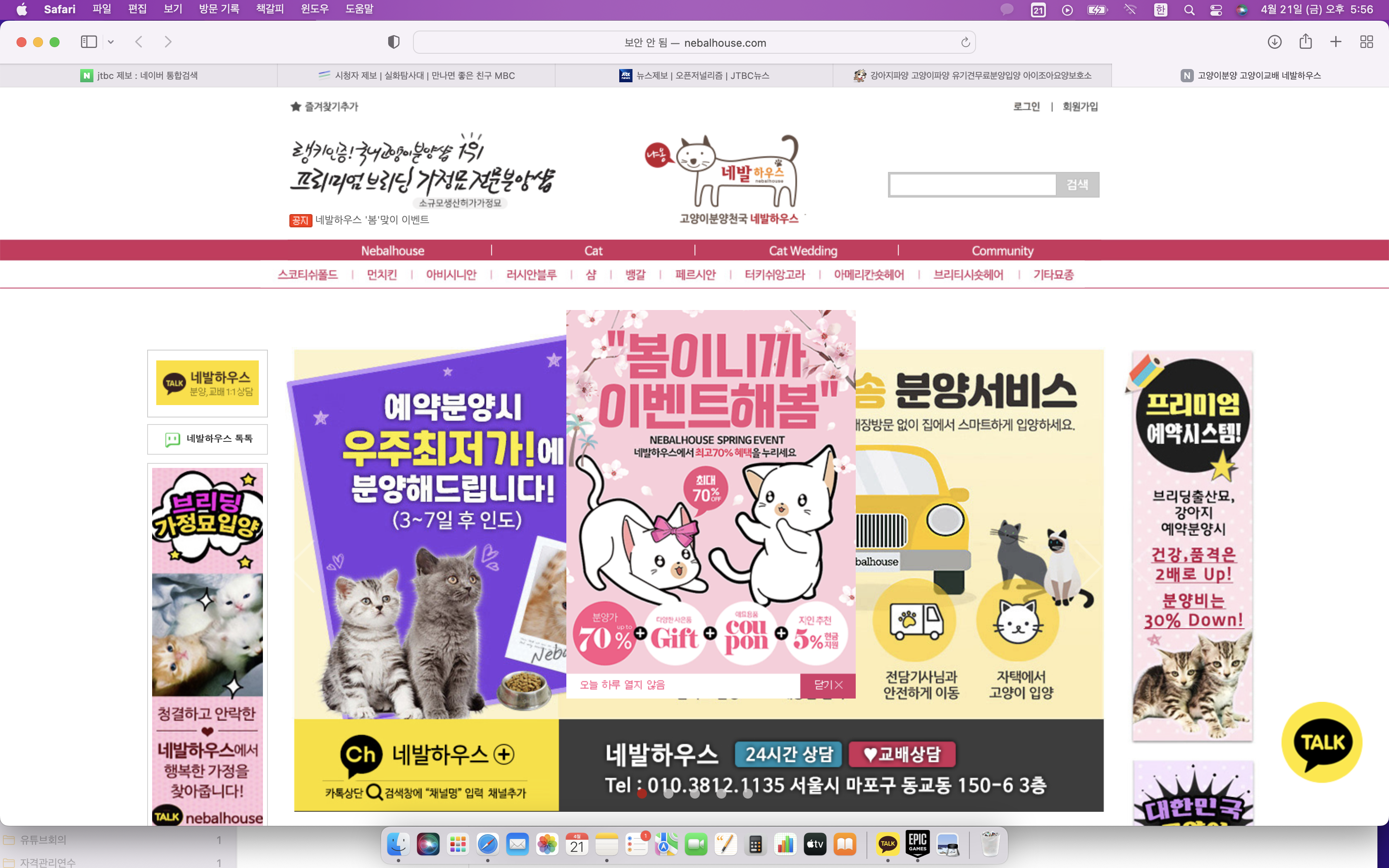 가짜 보호소를 제보합니다.