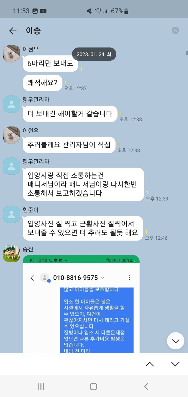불법 보호소에서 주기적으로 아이들을 심마니에게 보내고 있습니다.