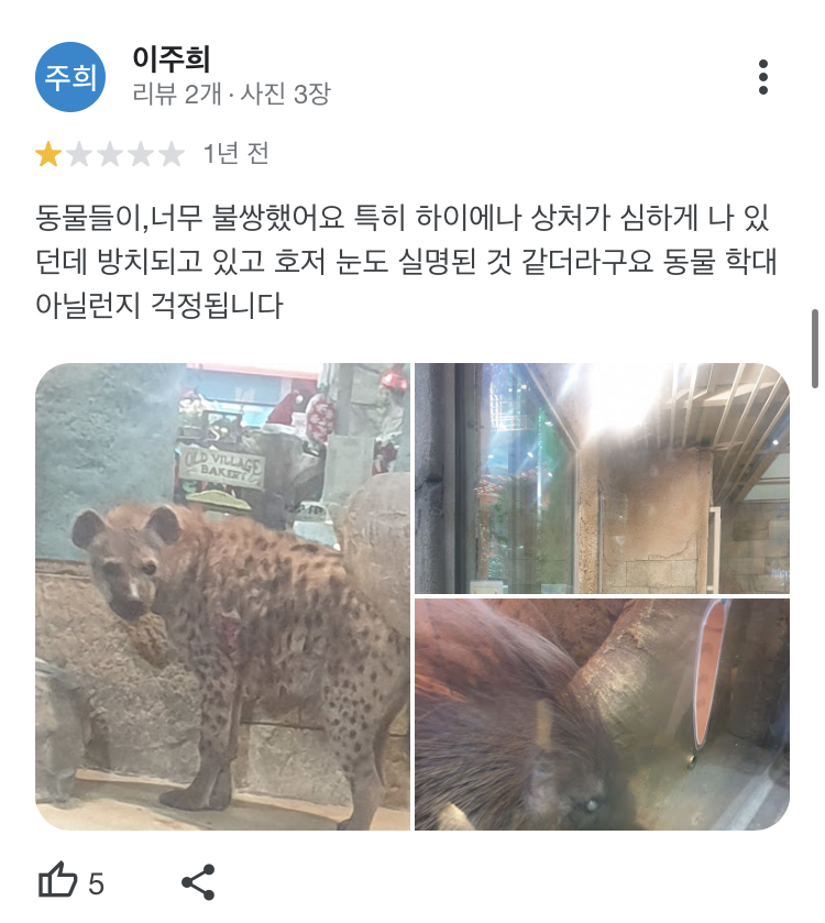 대구 아이니 실내동물원에 갇혀있는 동물들을 구해주세요.