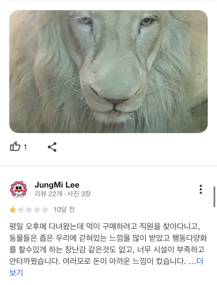 대구 아이니 실내동물원에 갇혀있는 동물들을 구해주세요.