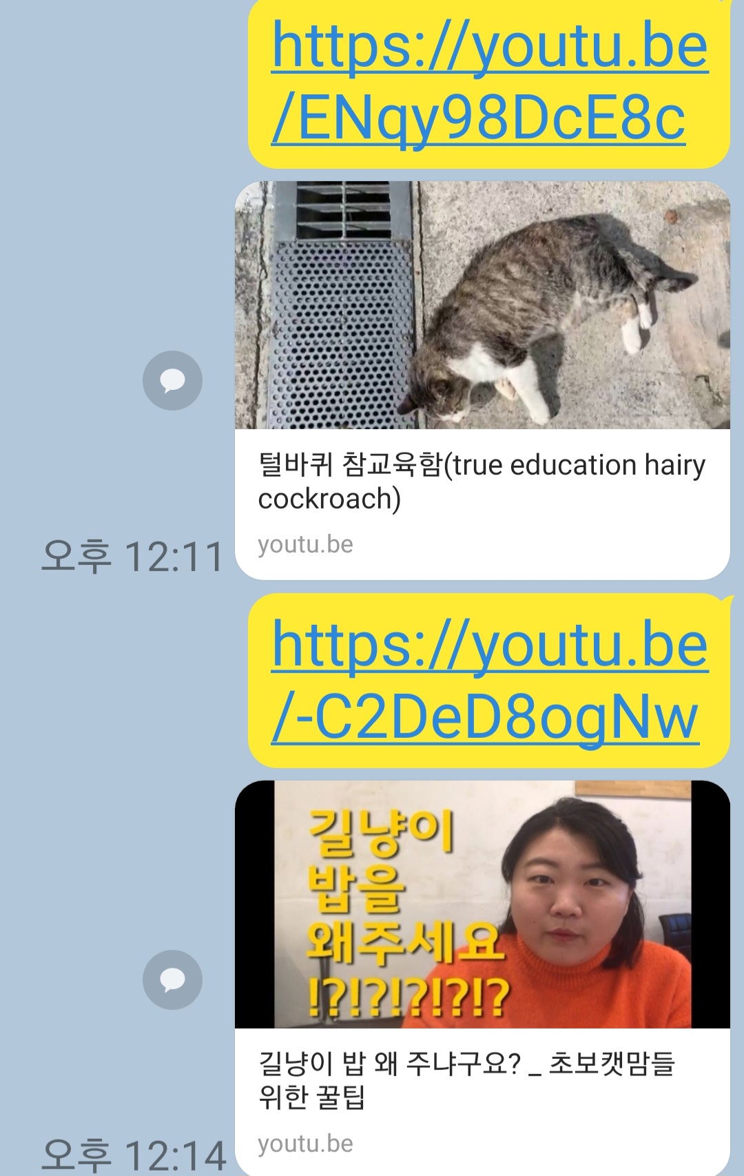 고양이 죽이고 줄기는 유트브 채널들 영상이 올려지고 있습니다 