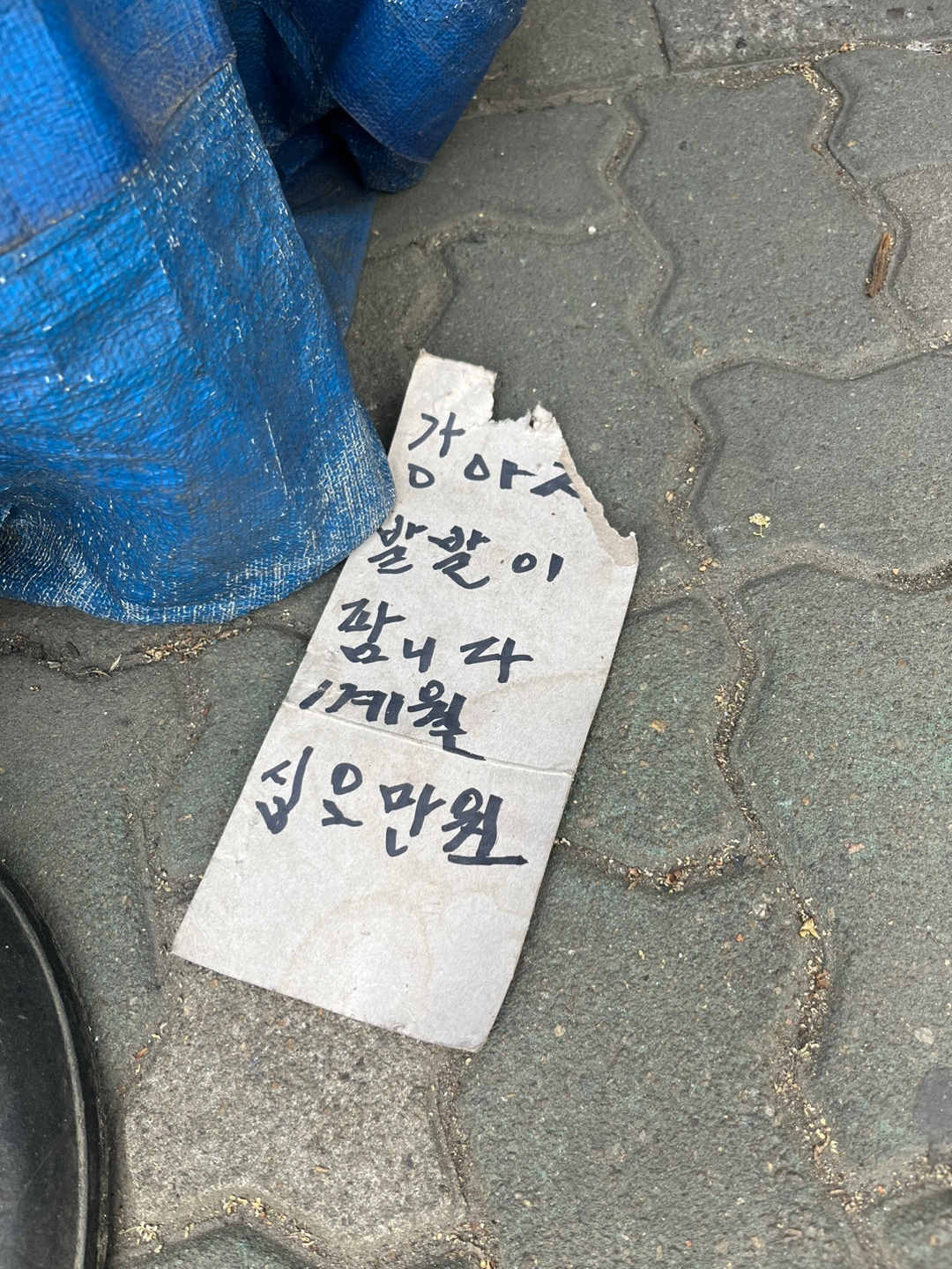 수색역 근처 강아지 한마리를 벽돌에 노끈으로 칭칭 묶어서 판매하고있습니다.
