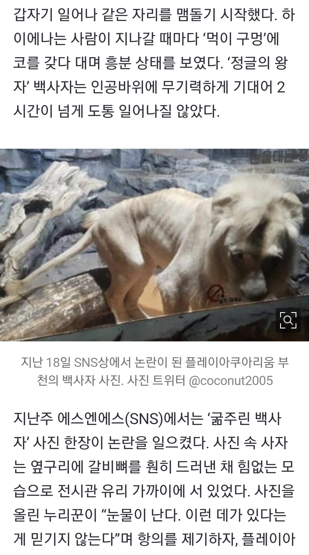 `웅진플레이도시`아쿠아리움에 왠 야생동물이??