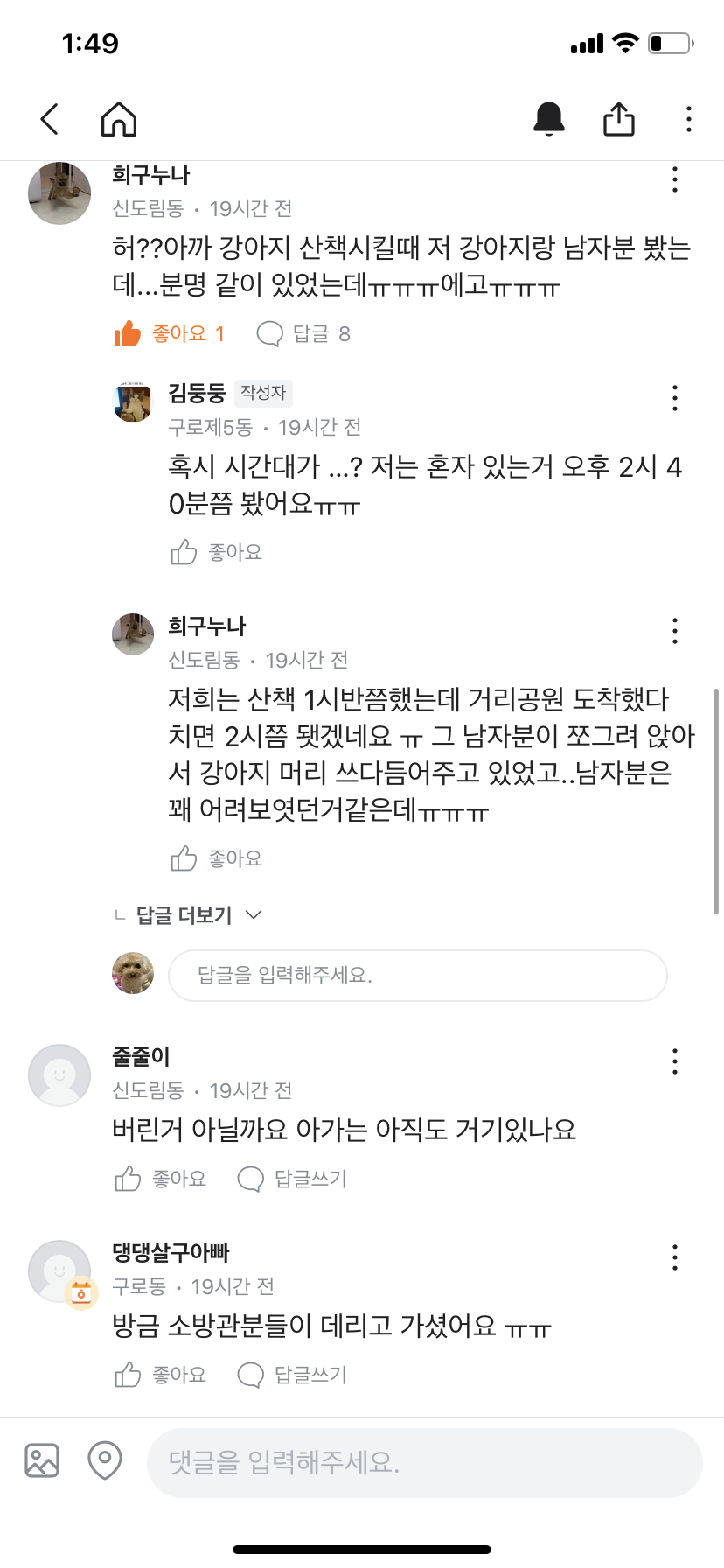 진도아이를 주인이 공원에 유기하고 갔어요