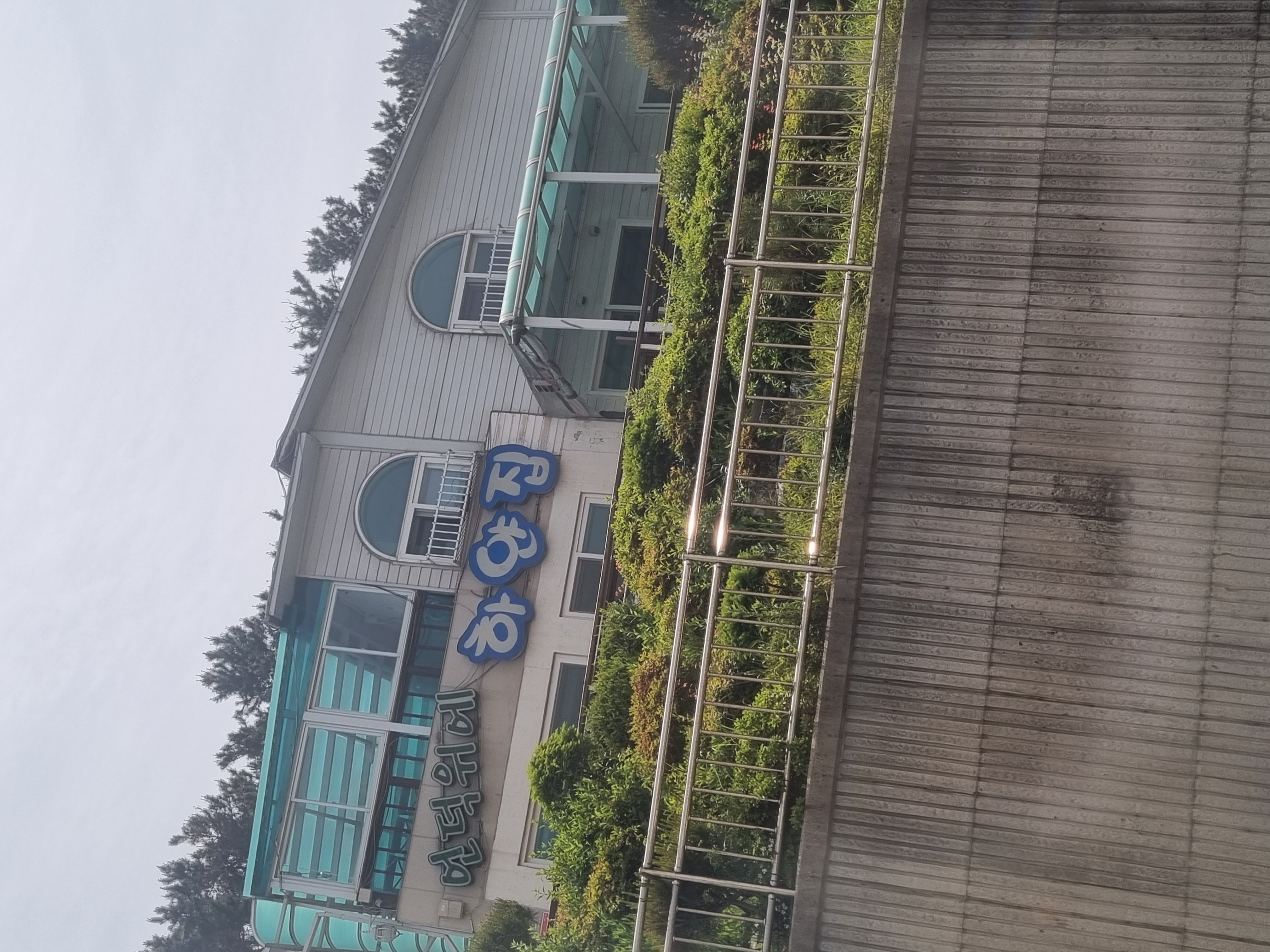 진도2마리가 갇혀있어요