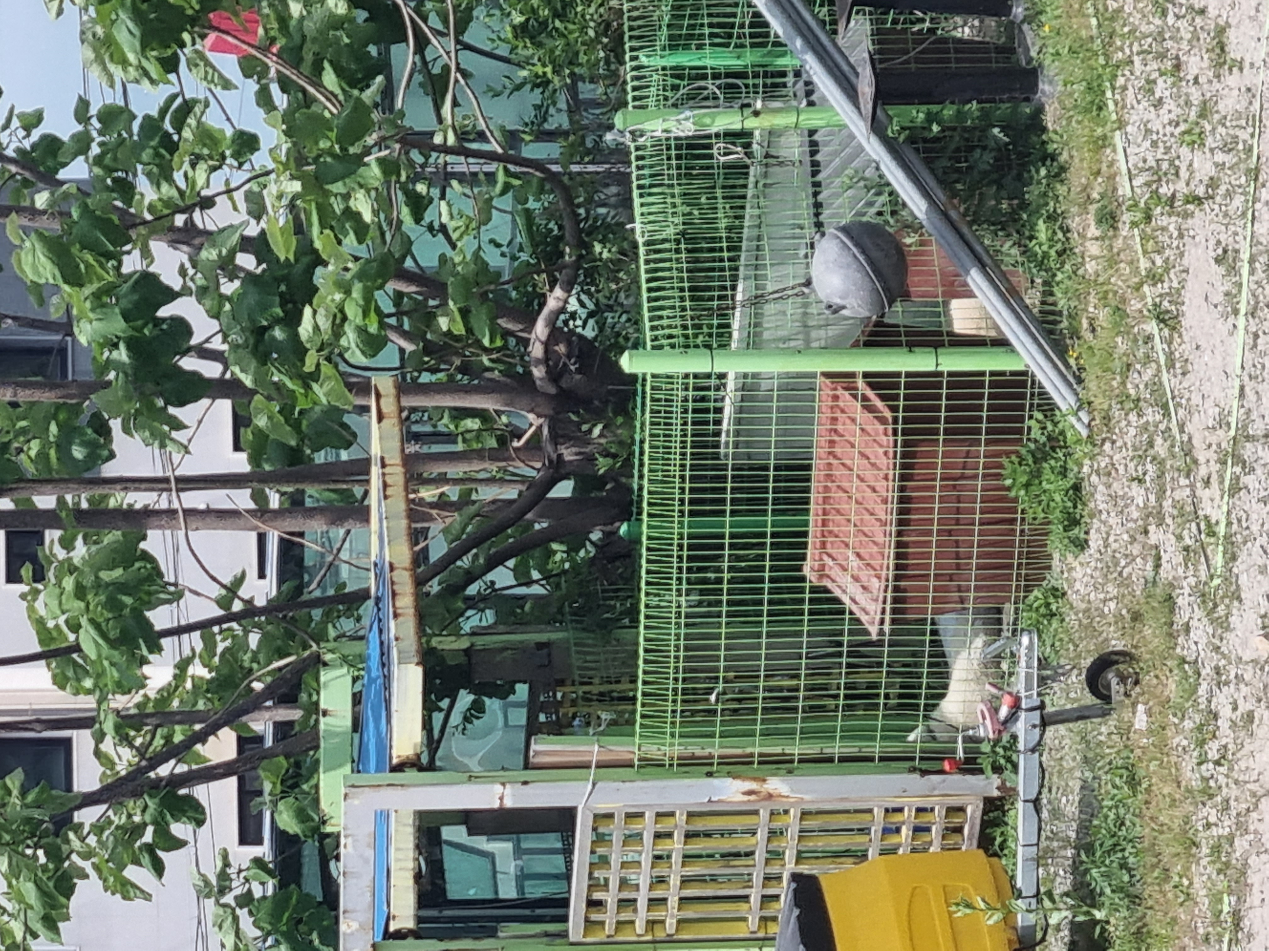 진도2마리가 갇혀있어요