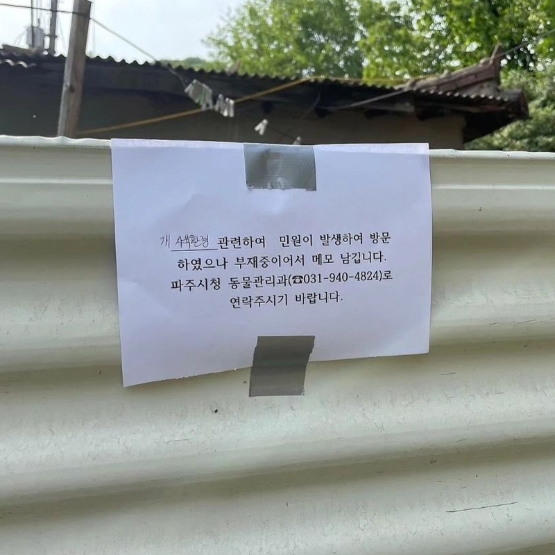 파주 애니멀호딩현장*정정합니다