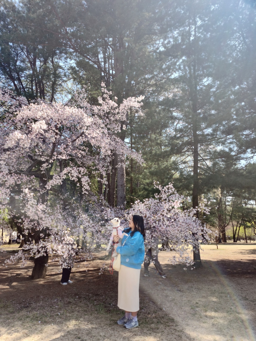 호두(데이지) 2주년 일기