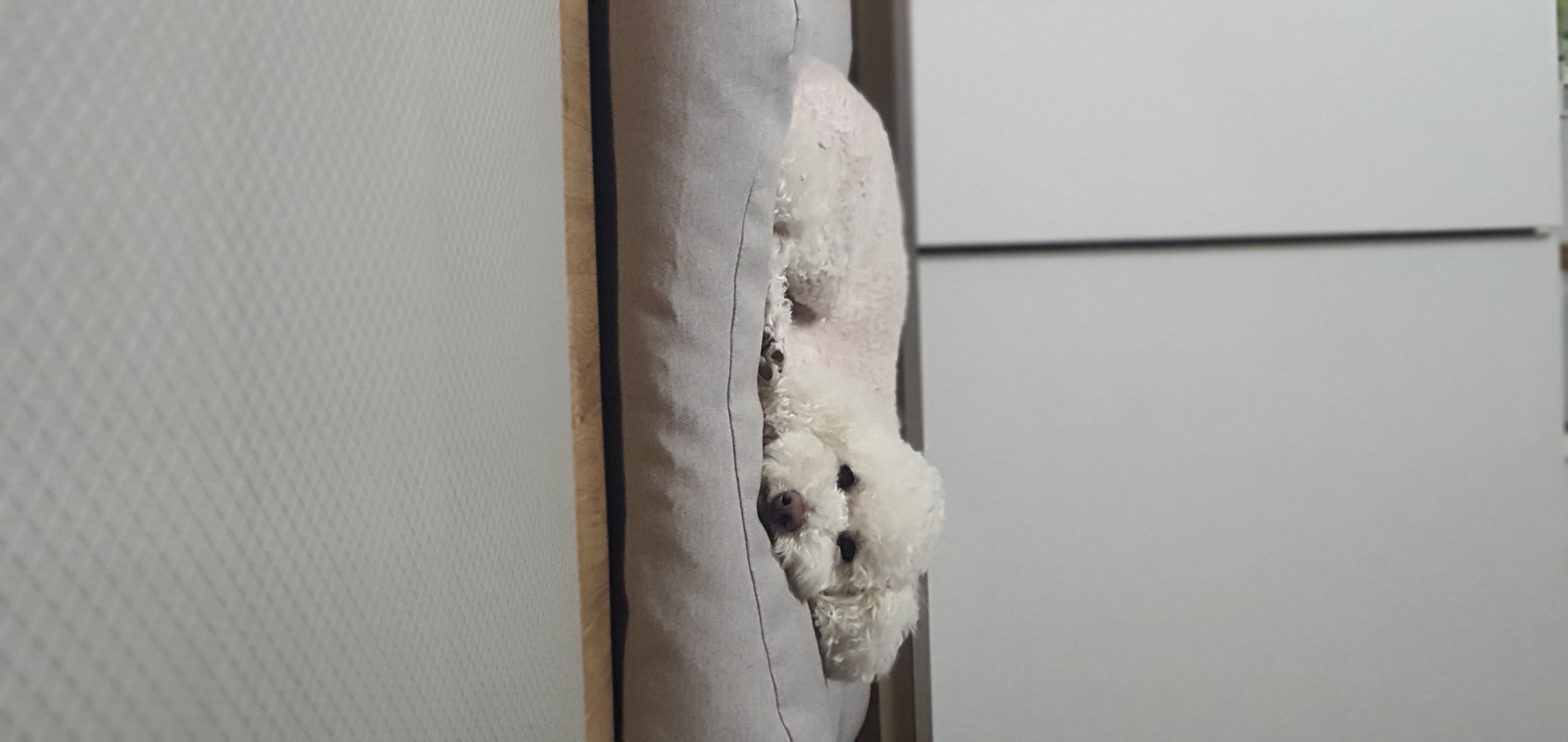 최고다(레일이) 2년 되었습니다!