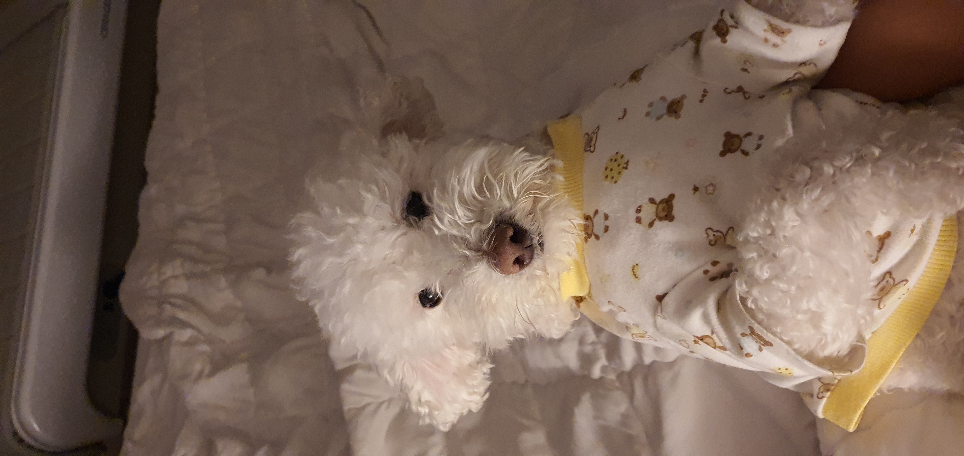 최고다(레일이) 2년 되었습니다!