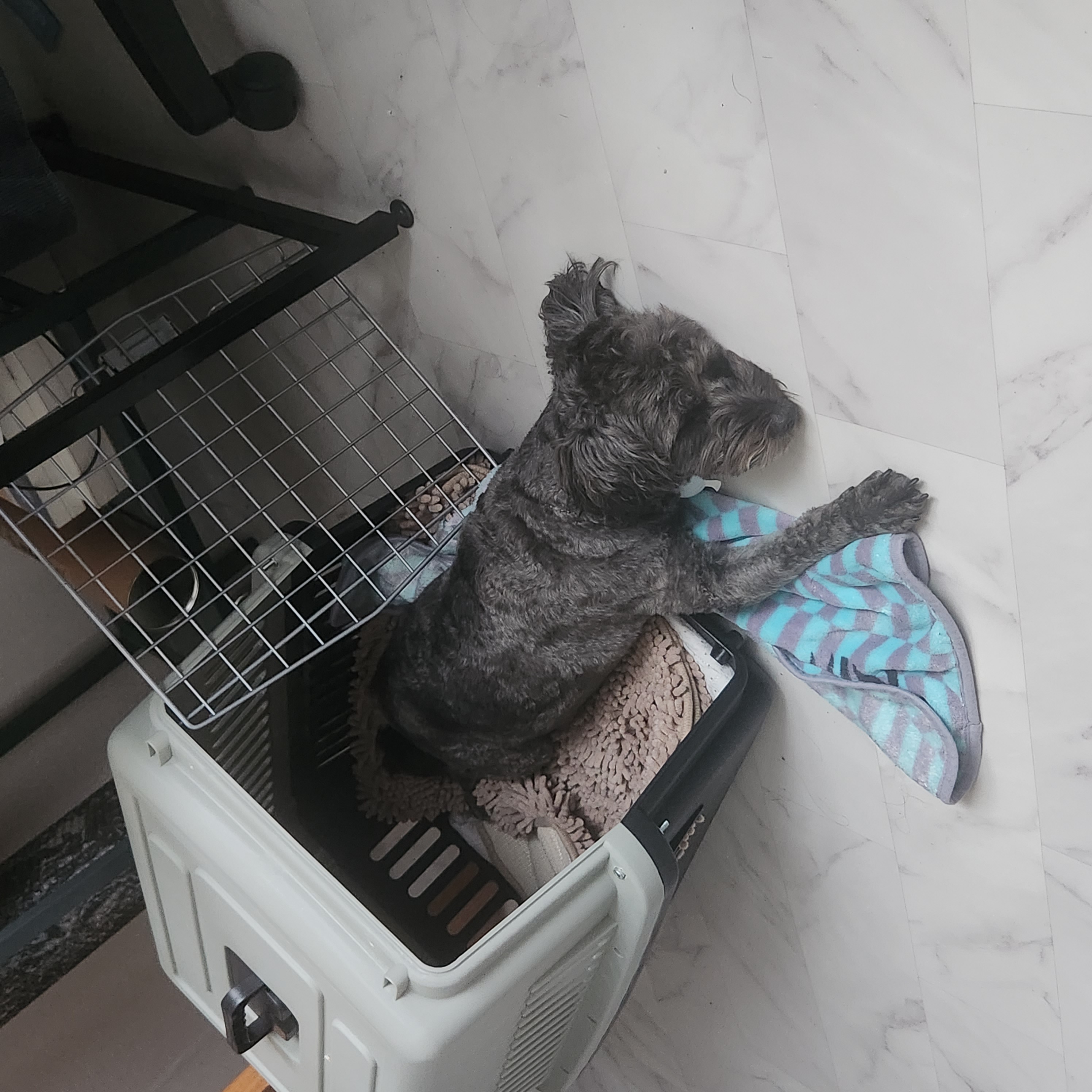 배리(말푸이) 한달입니다!