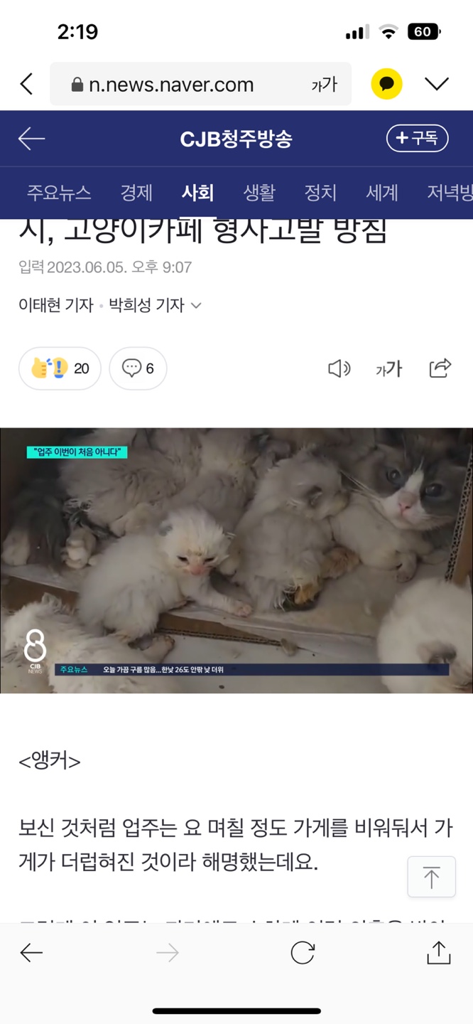 뉴스에 보도된 이후에도 계속 된 방치,학대 청주 캐터리 제보합니다. 