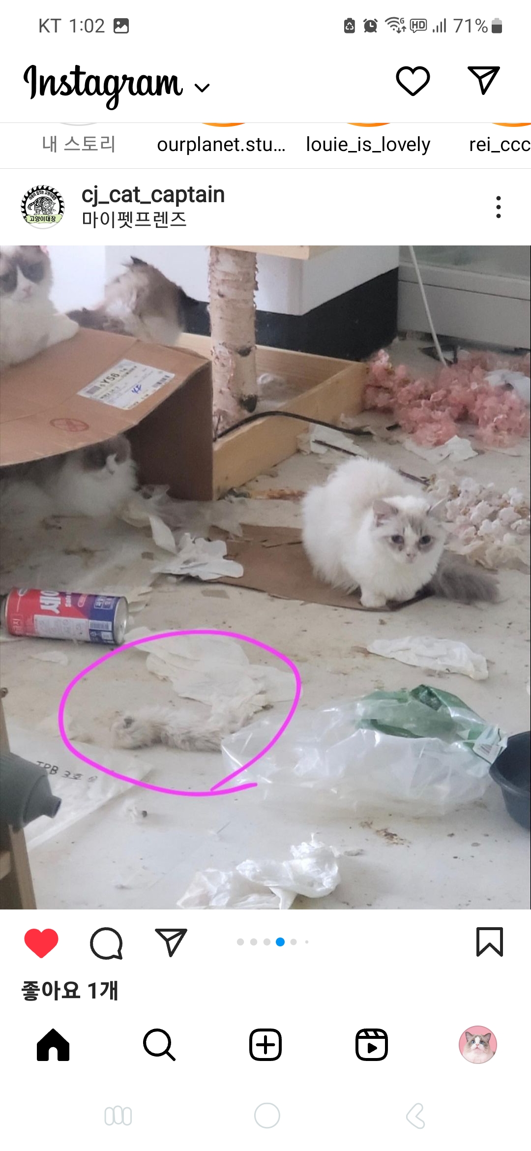 뉴스에 보도된 이후에도 계속 된 방치,학대 청주 캐터리 제보합니다. 