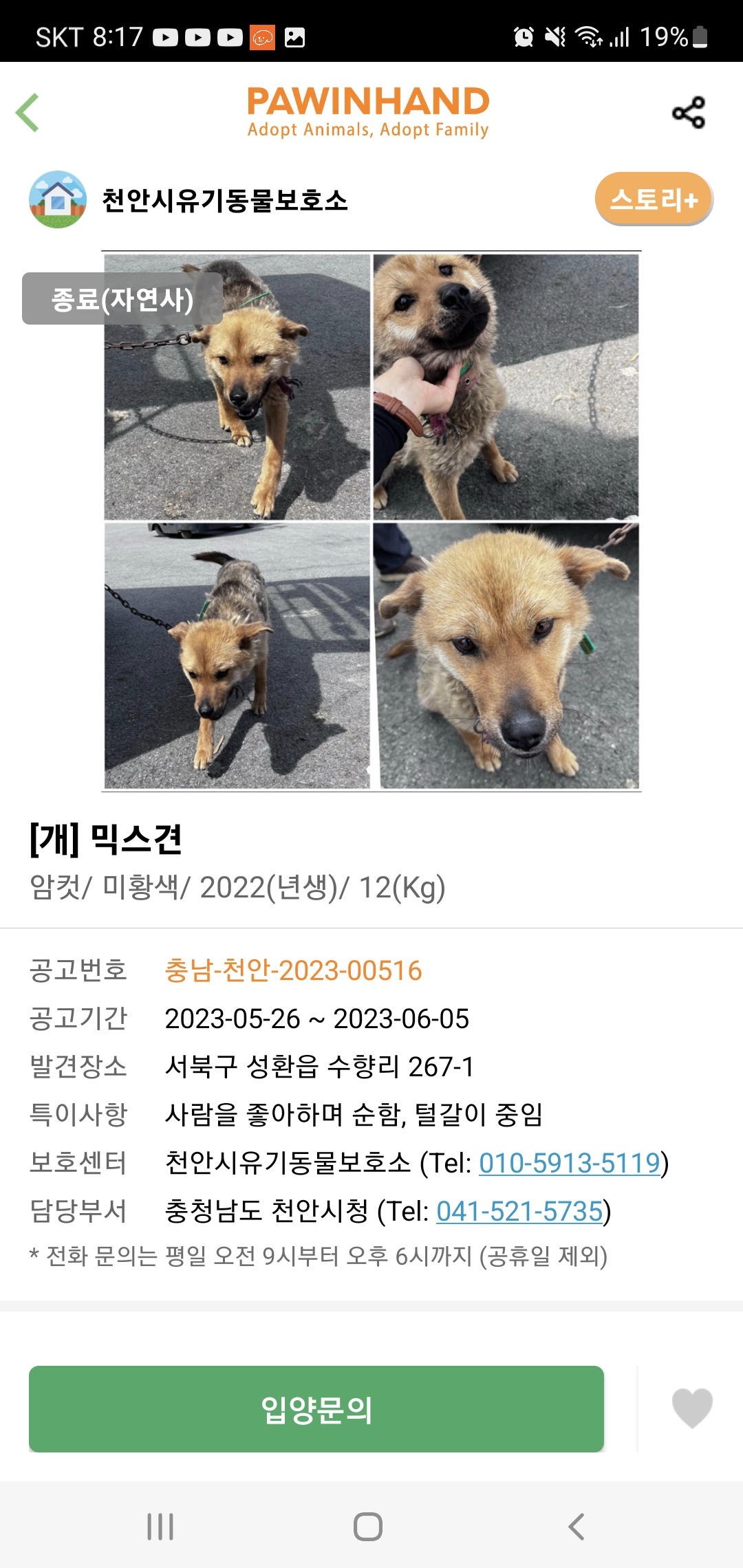 천안시유기동물보호소의실태