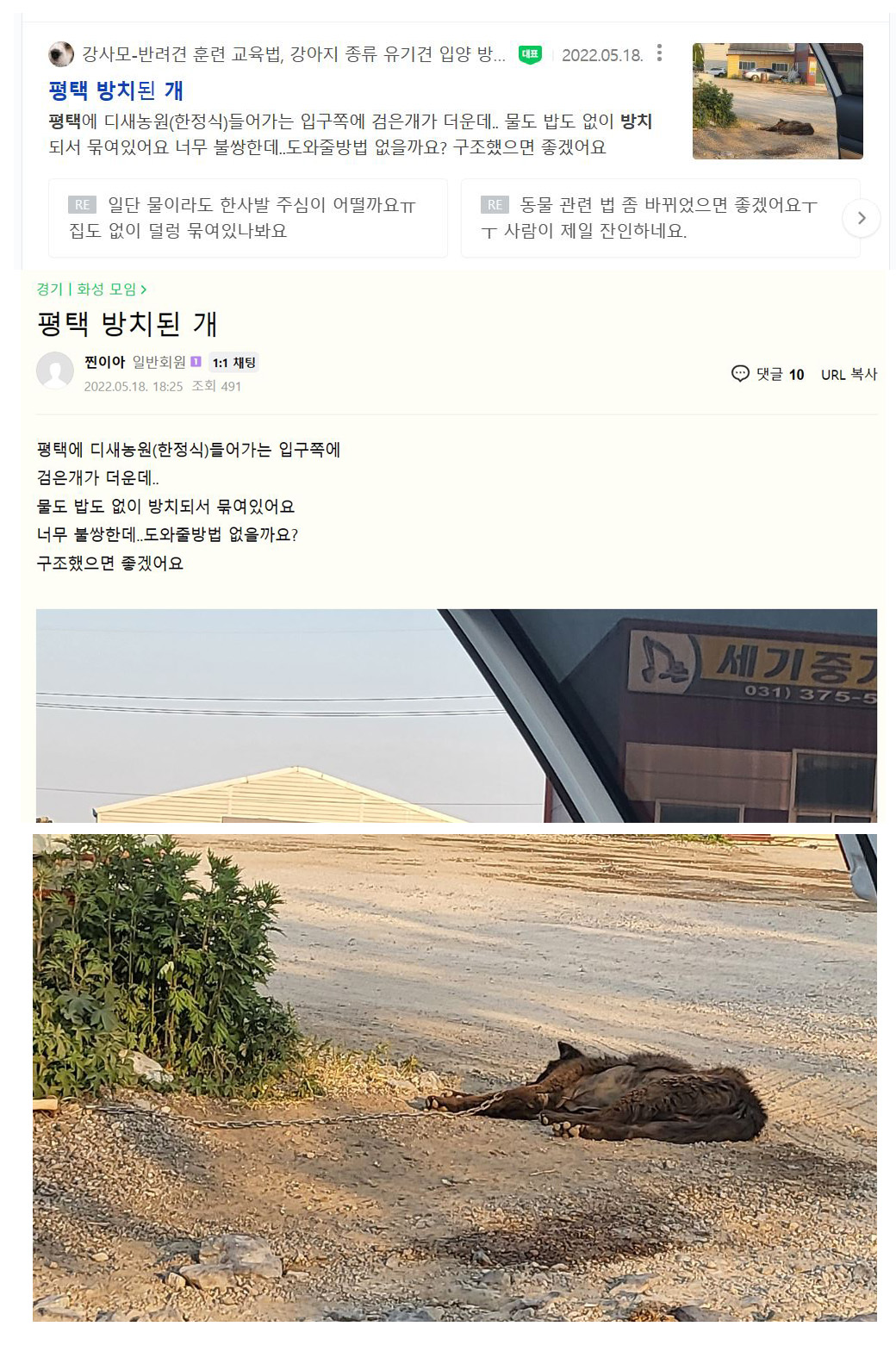 방치된 아이인것 같아요