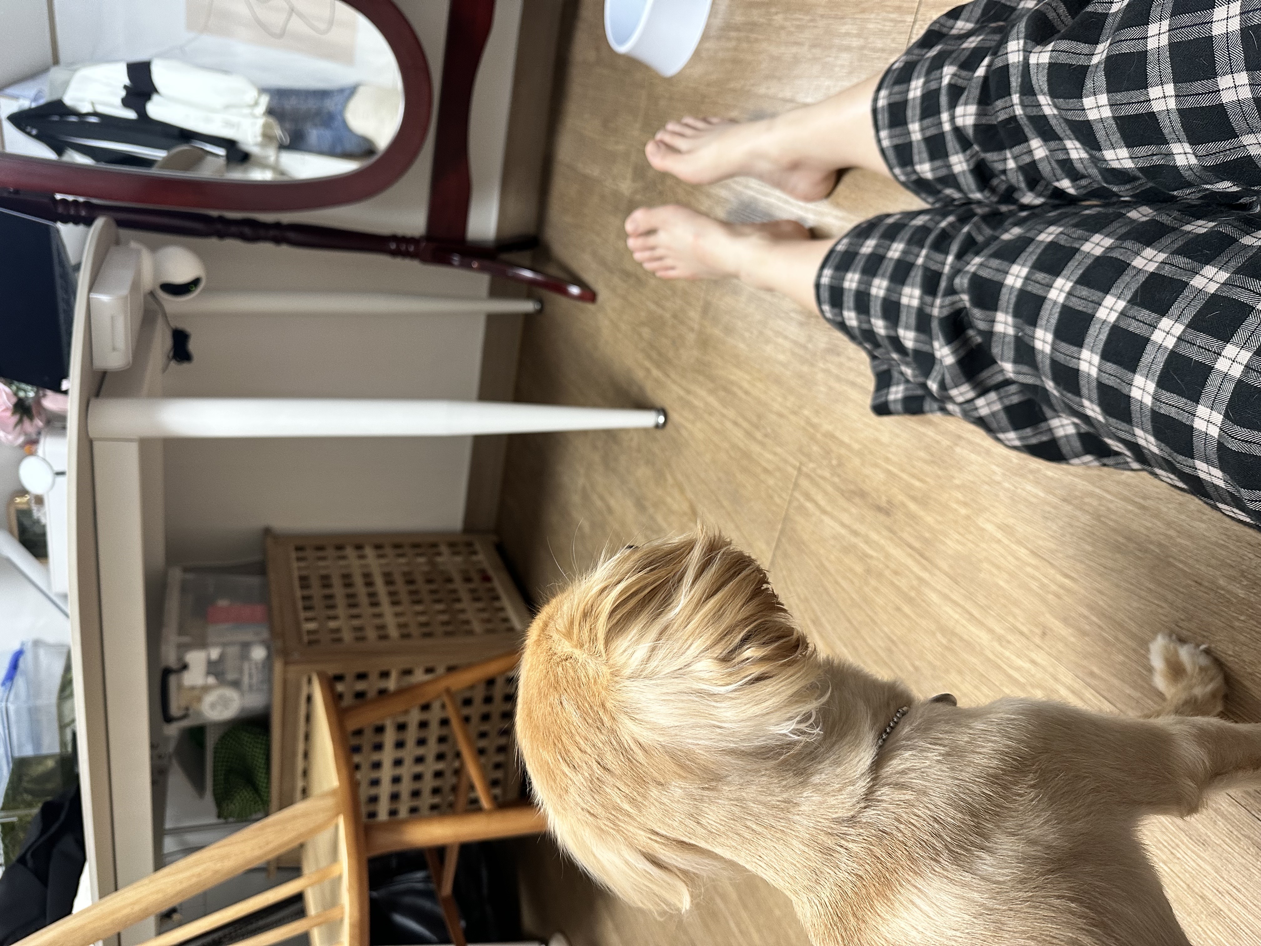 아코와 한달째 함께하는 일상