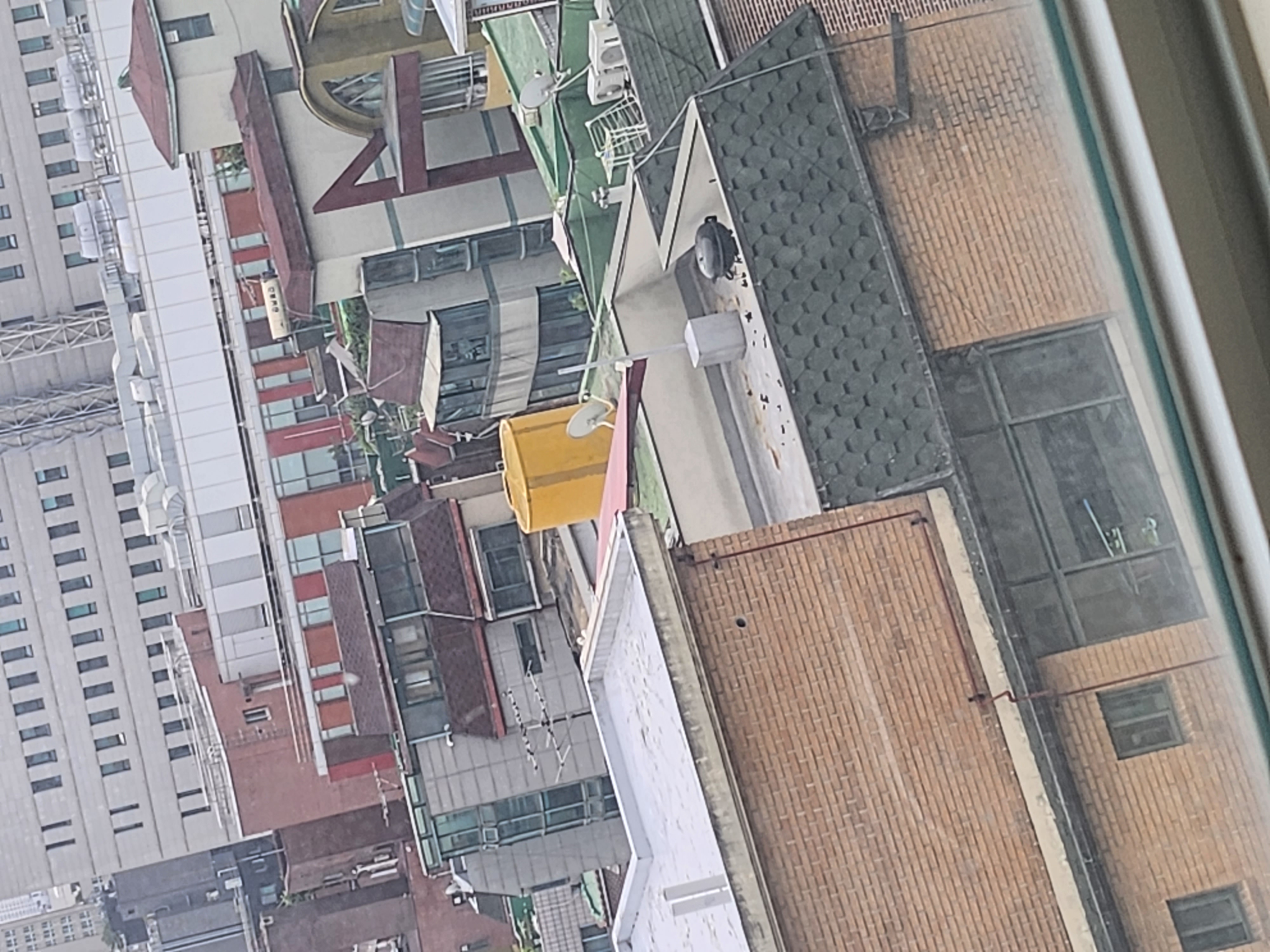 병원 옆 빌라 옥상 개똥밭에 강아지가 방치 되어있습니다