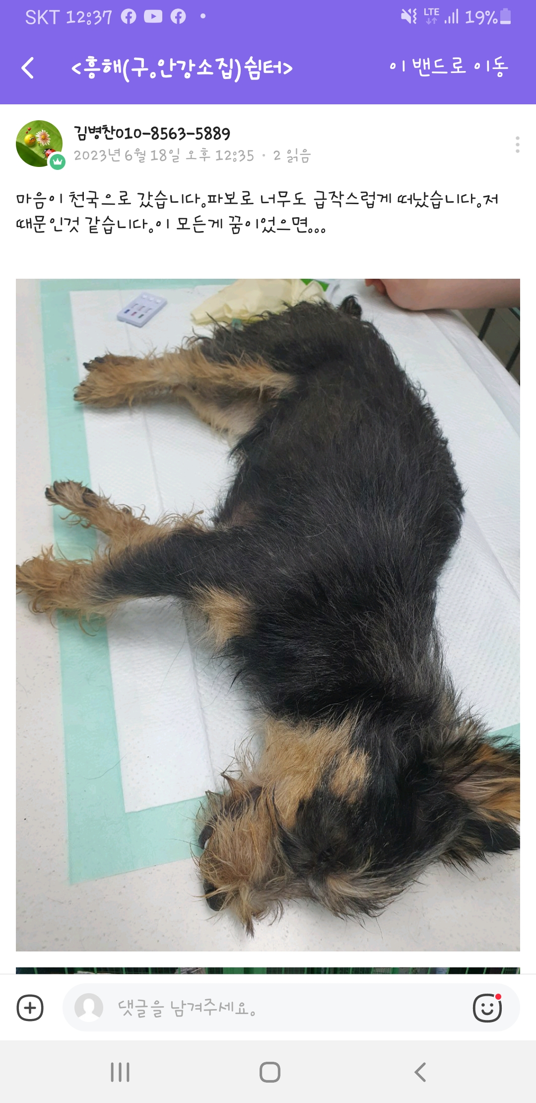 포항 호더운영 사설쉼터 전염병 관리미흡 사망