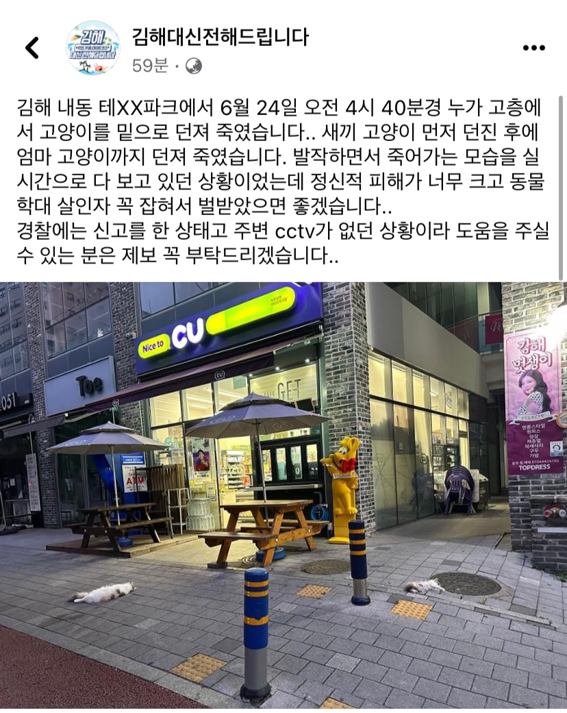 고양이 두마리를 고층에서 고의적으로 던져 죽게하였습니다