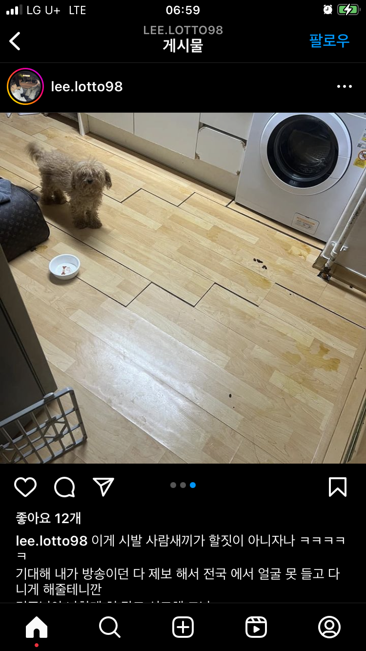 학대당한 개 구출한 사람