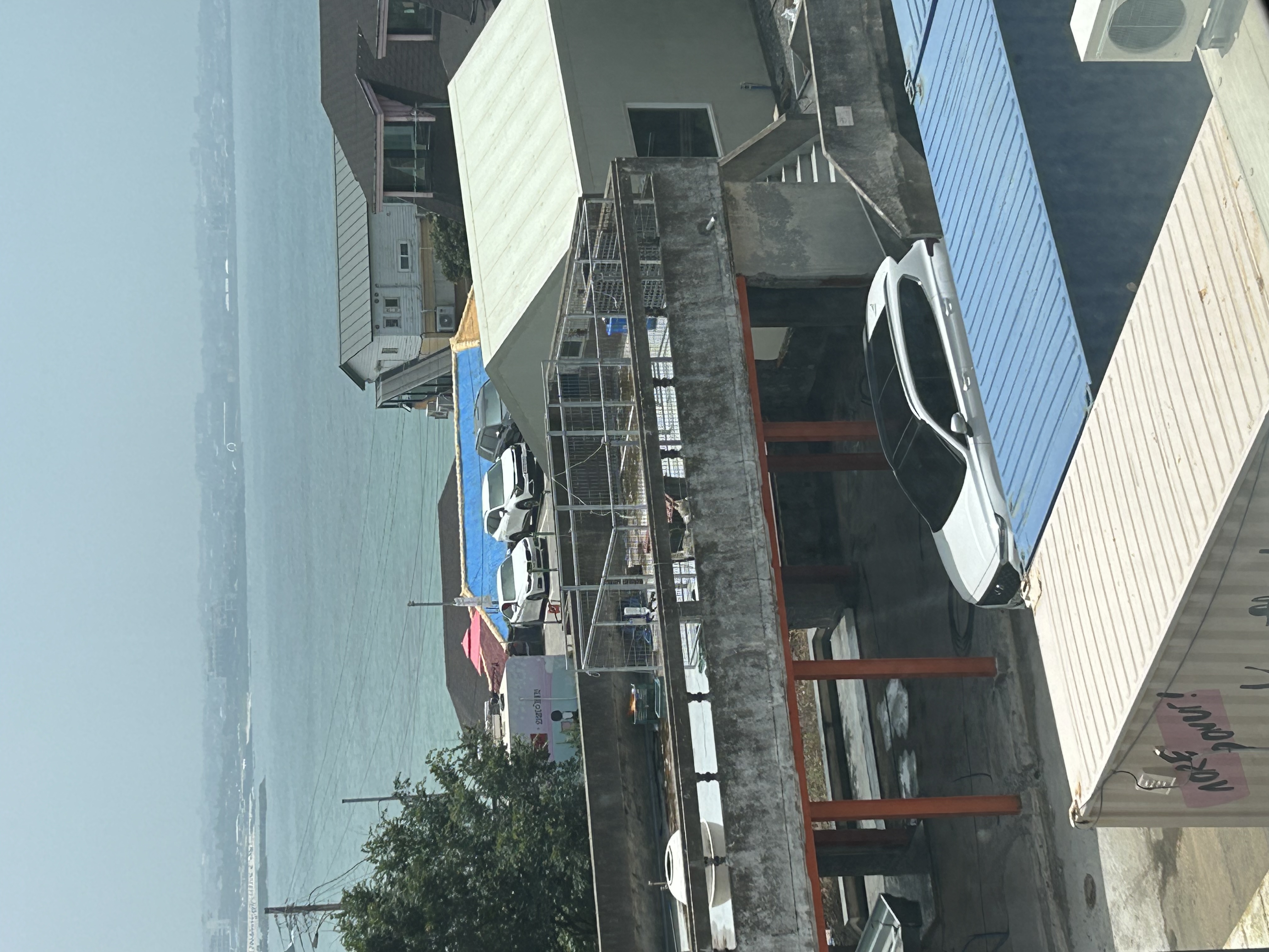 옥상에 그늘막 없이 지내는 허스키
