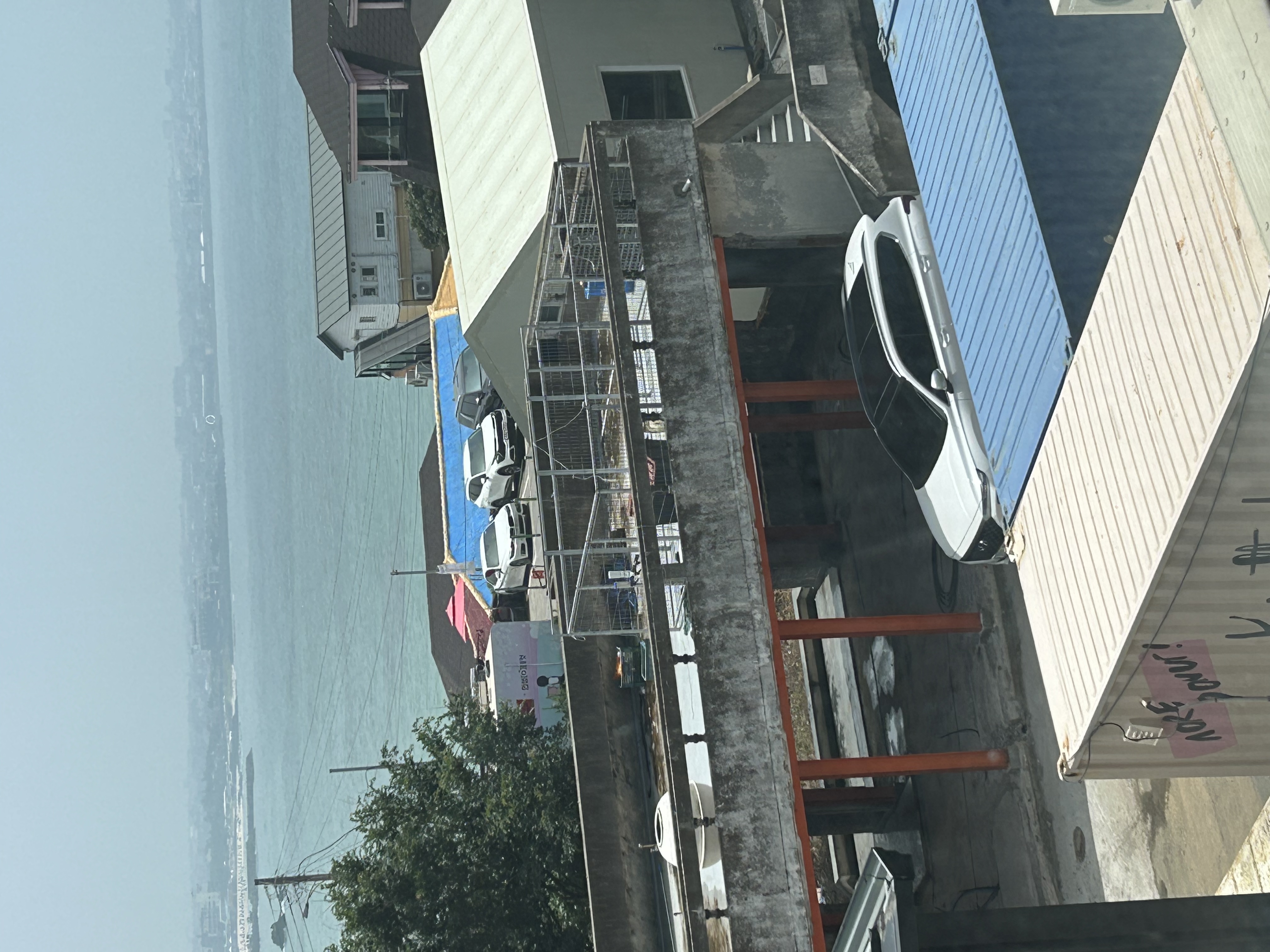 옥상에 그늘막 없이 지내는 허스키