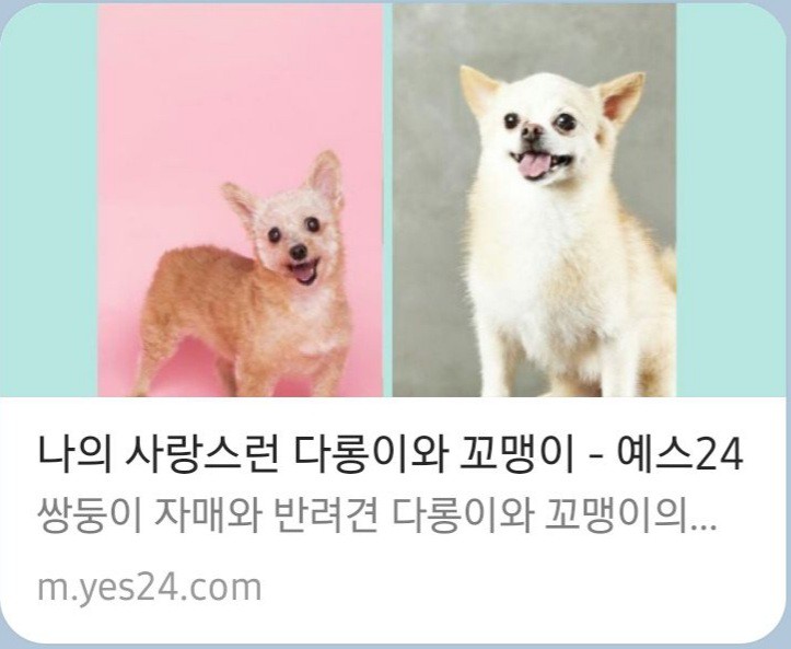 꼬맹이 소식을 전자책으로 전해 드립니다.
