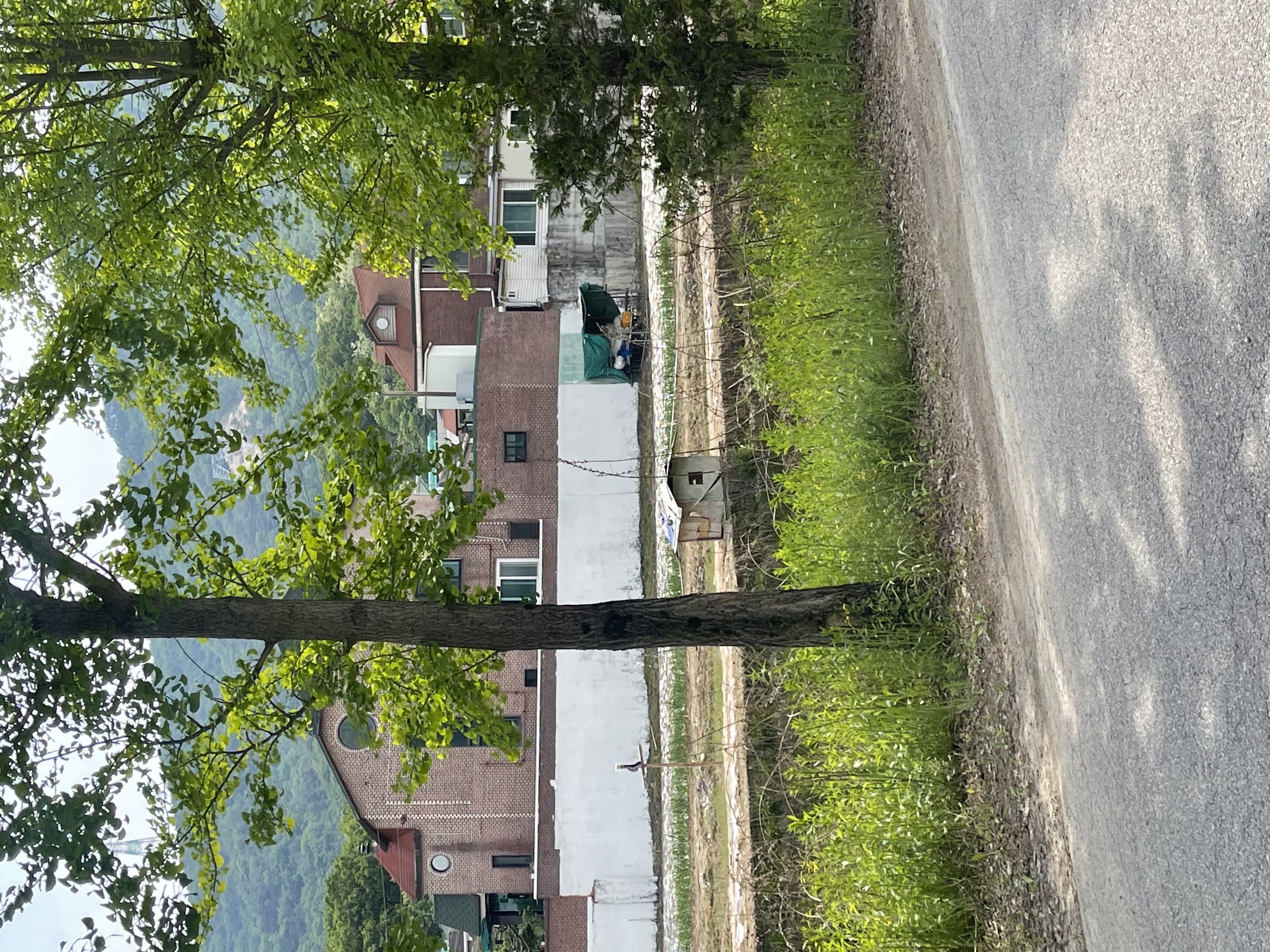 밭지킴이개 인것같아요