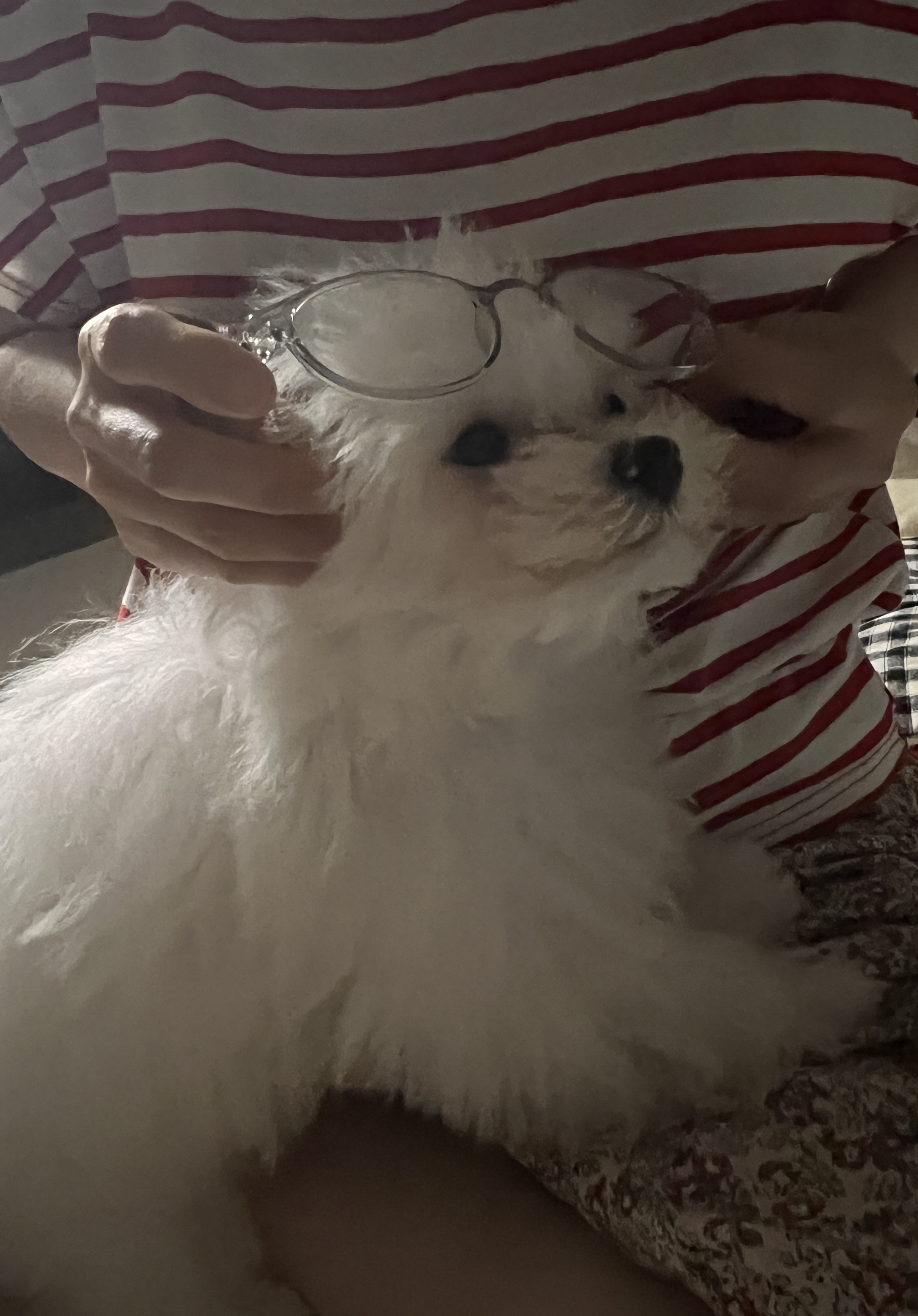 밥풀이 (다웅이) 3개월 후기입니다~~
